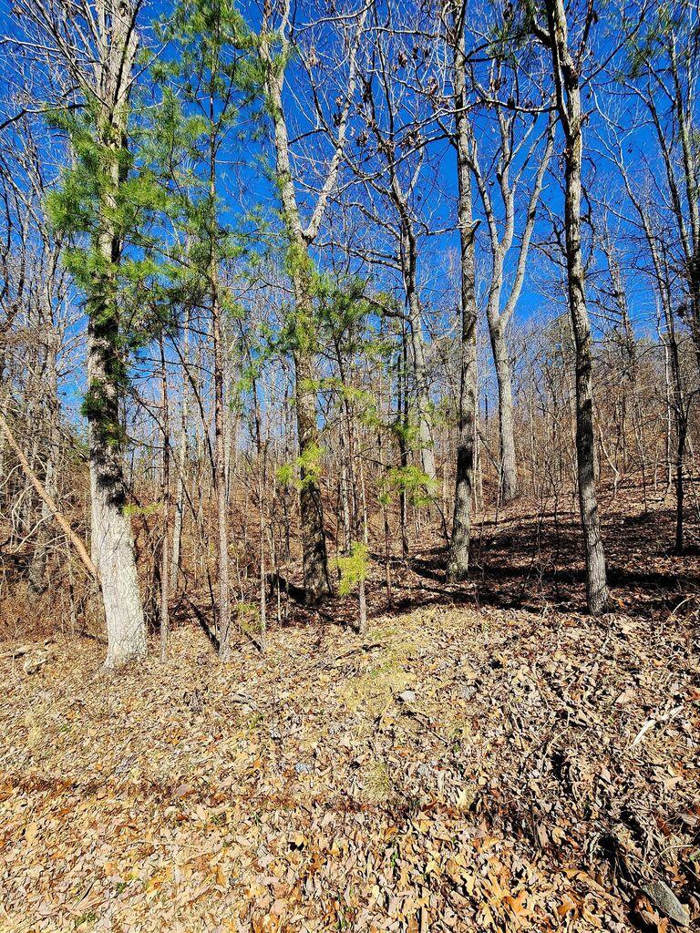 0 Northwoods Lane, 15