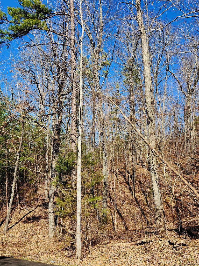 0 Northwoods Lane, 15