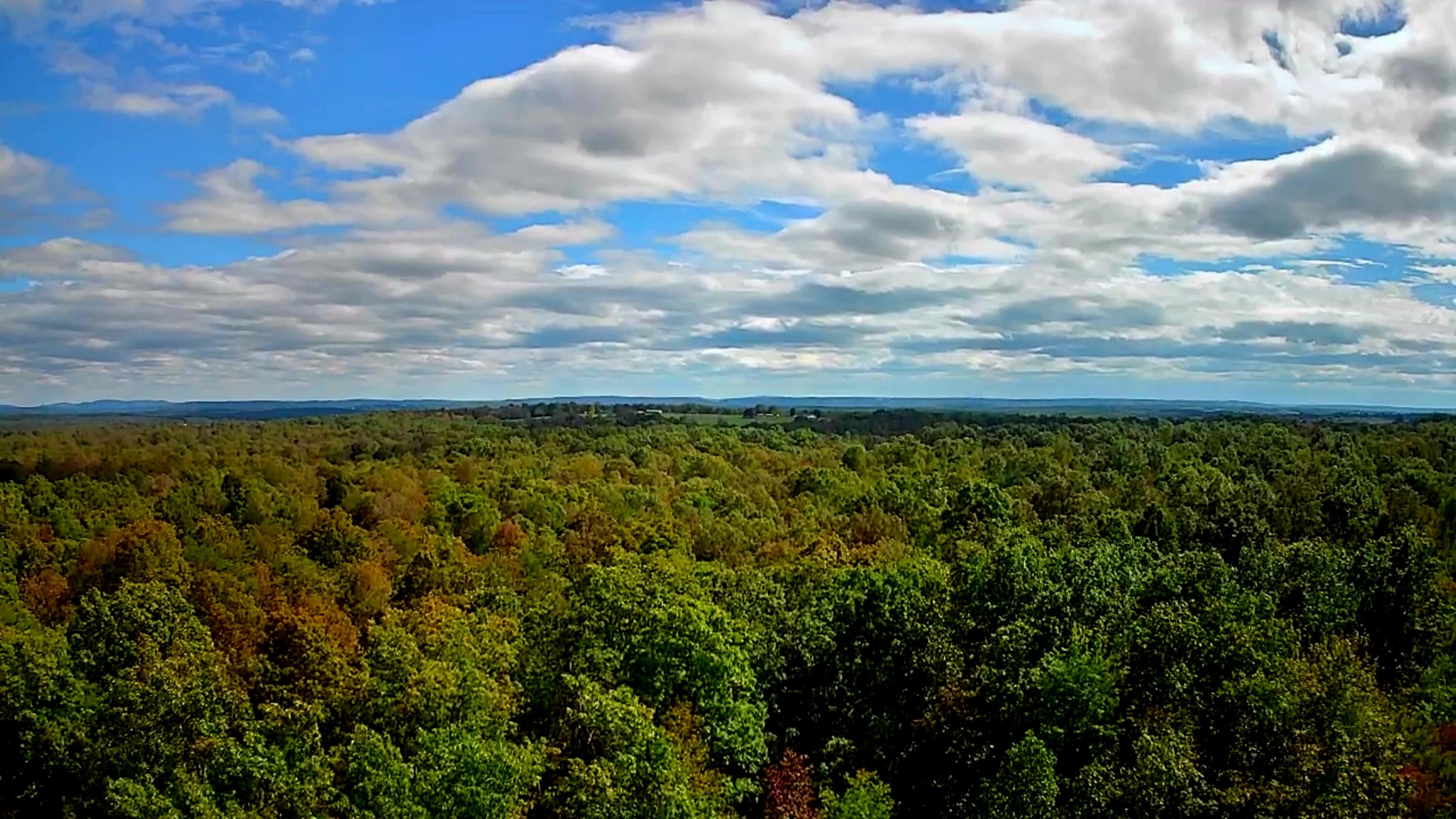 0 Long Branch Road, 179b