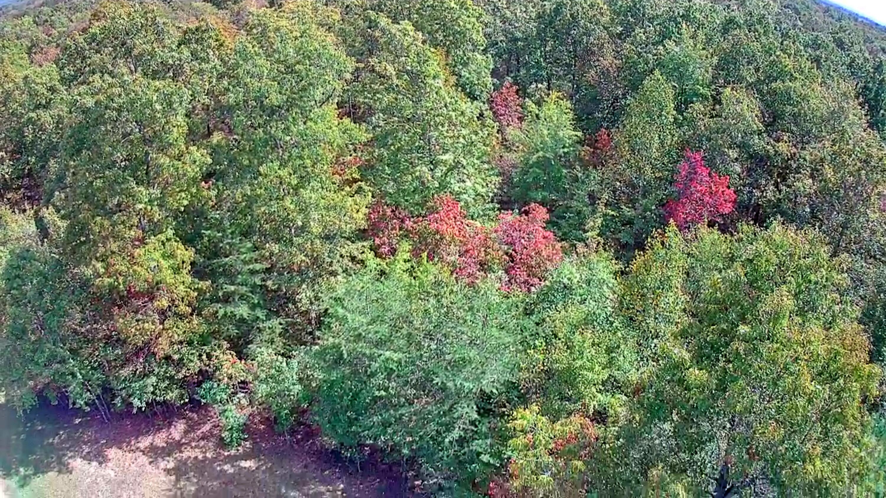 0 Long Branch Road, 179b