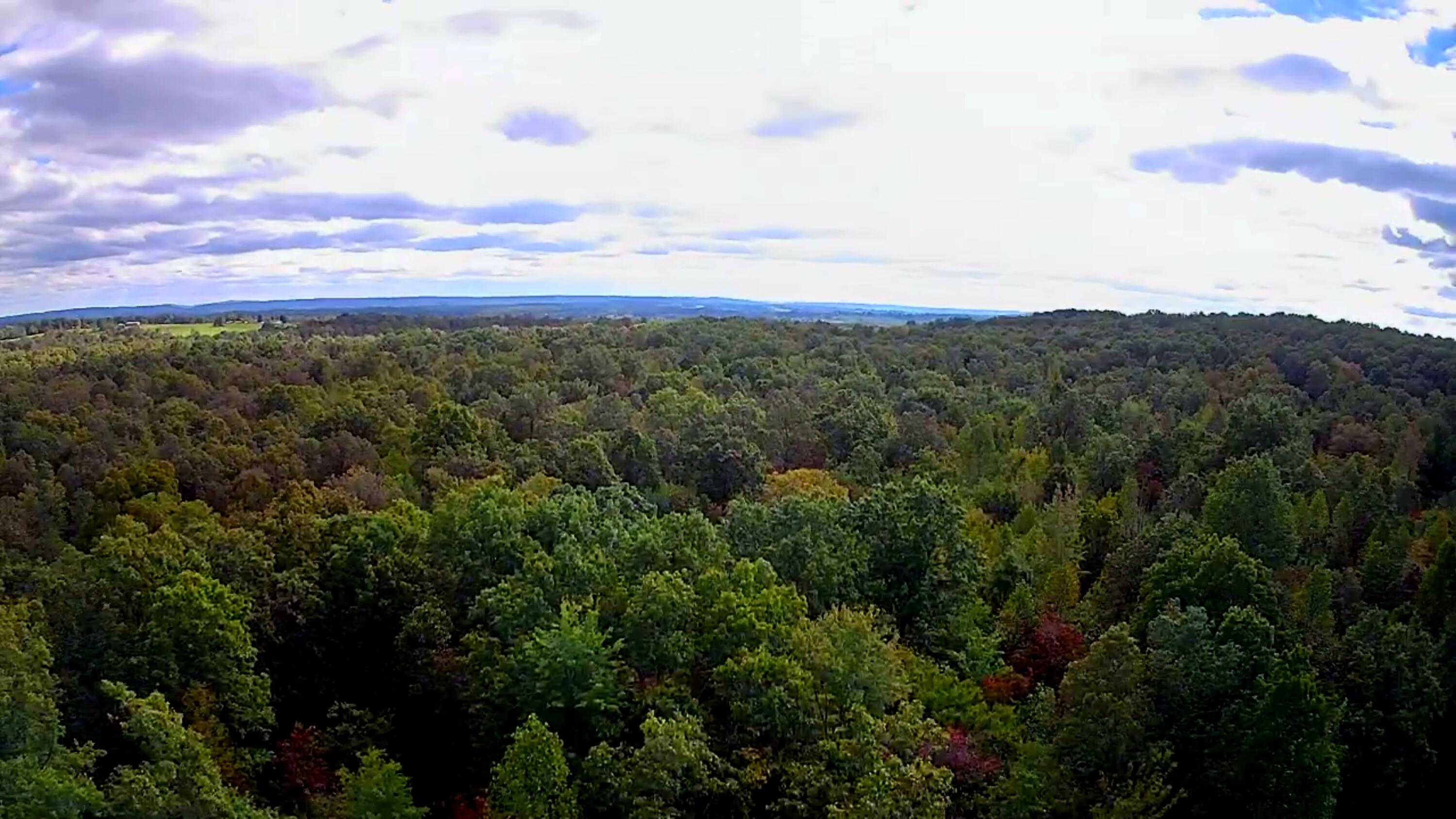 0 Long Branch Road, 179b