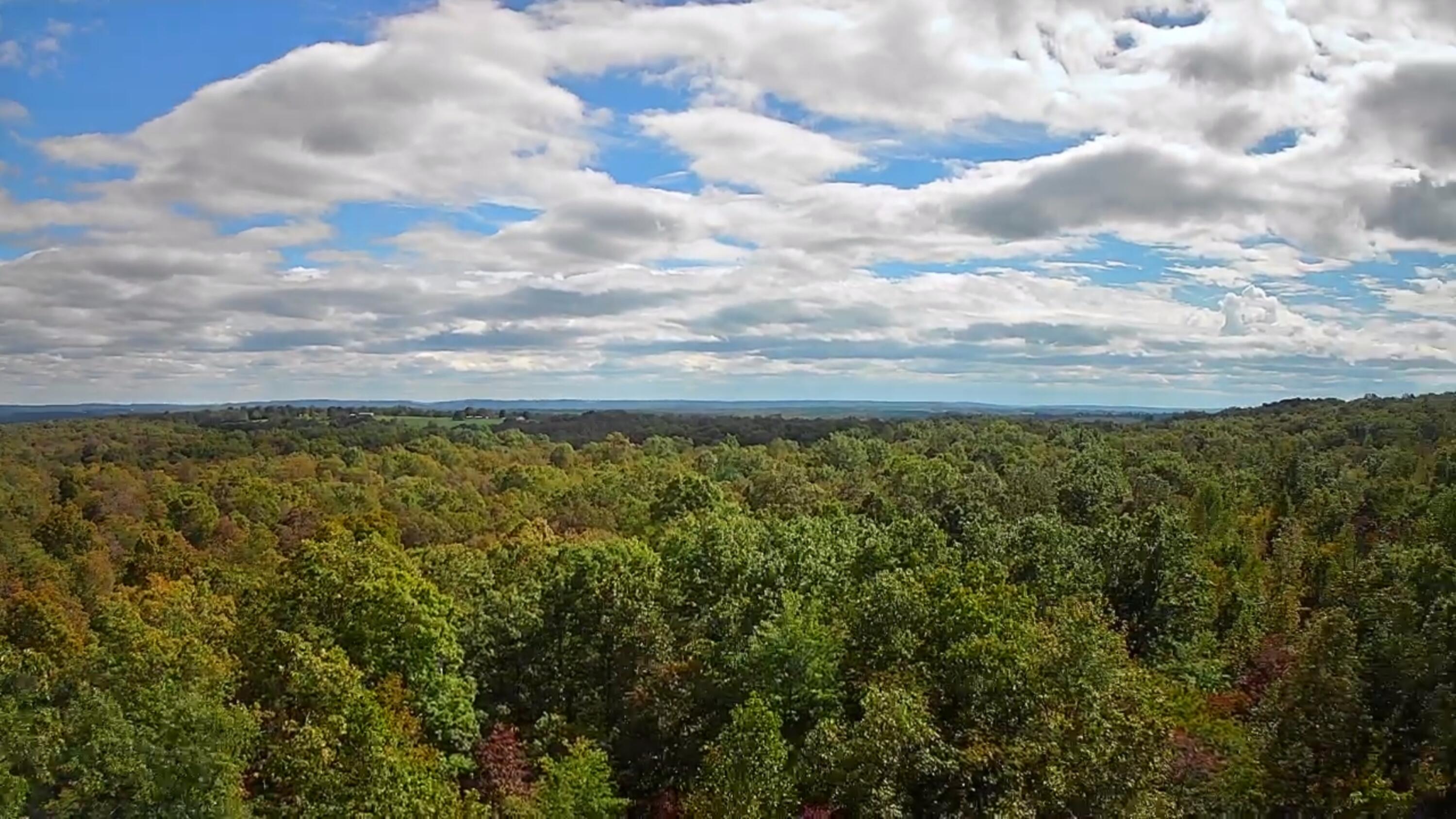 0 Long Branch Road, 179b