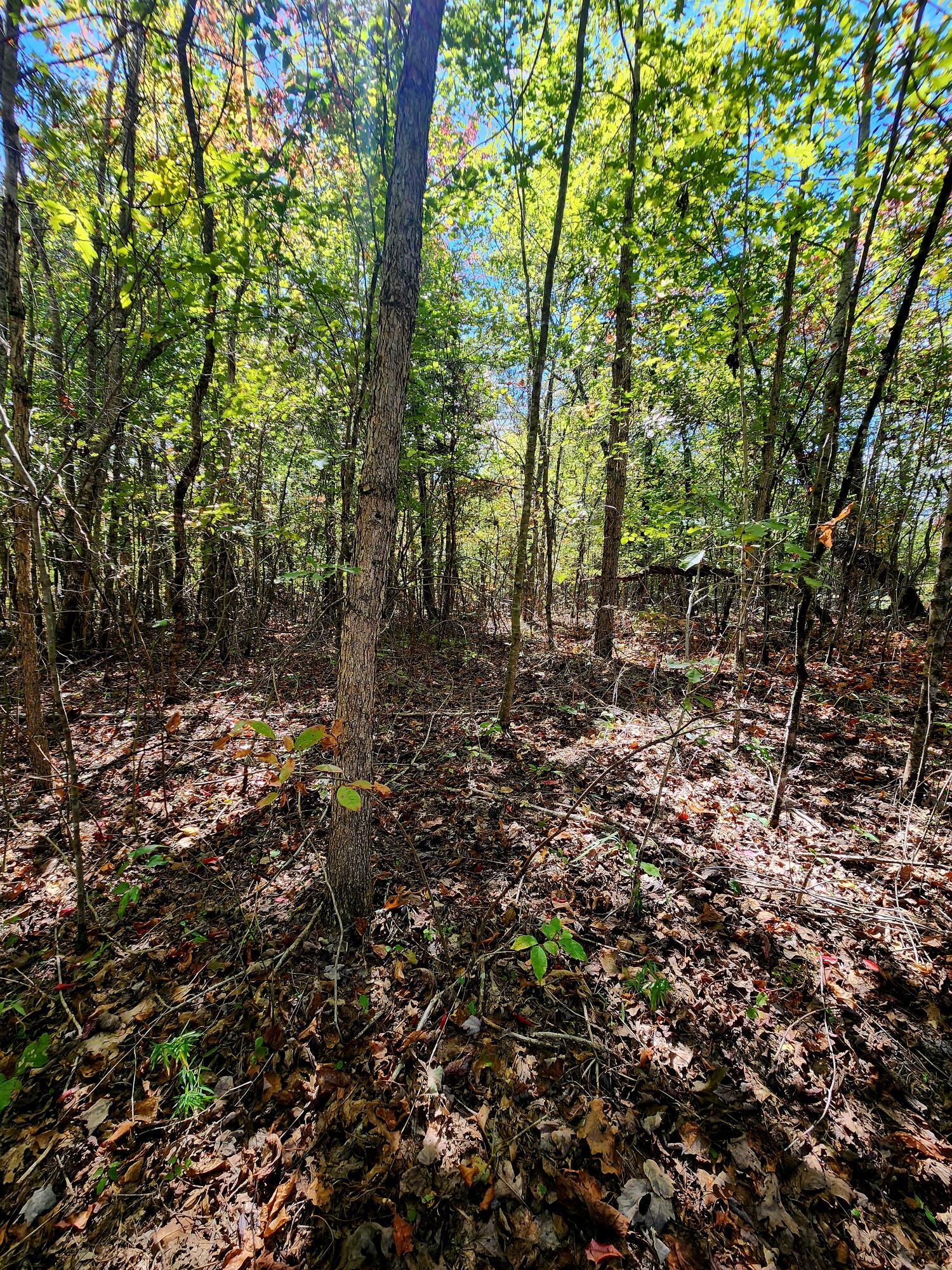 0 Long Branch Road, 179b