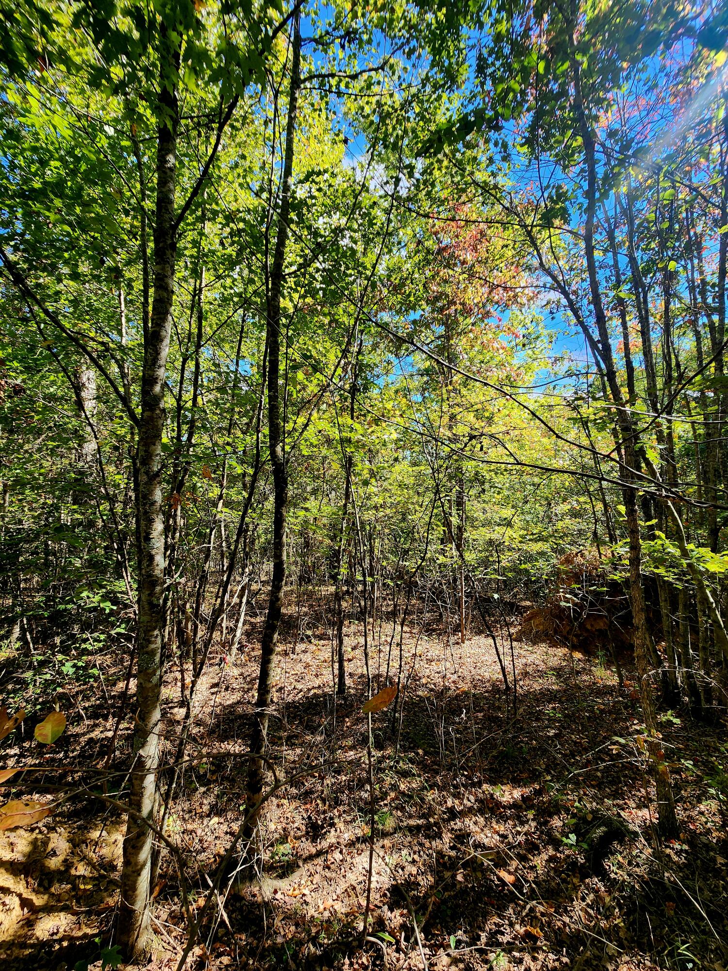 0 Long Branch Road, 179b