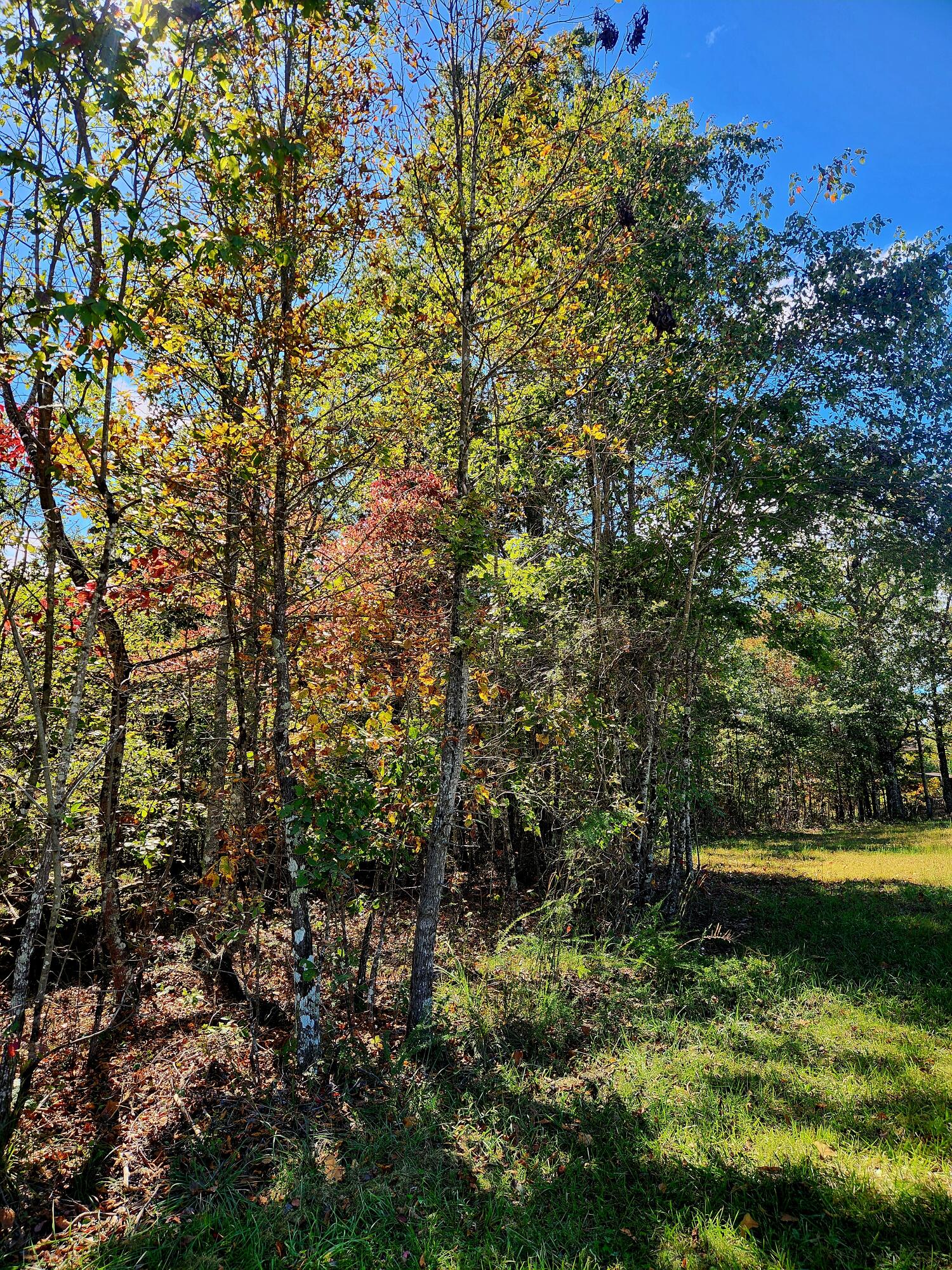 0 Long Branch Road, 179b