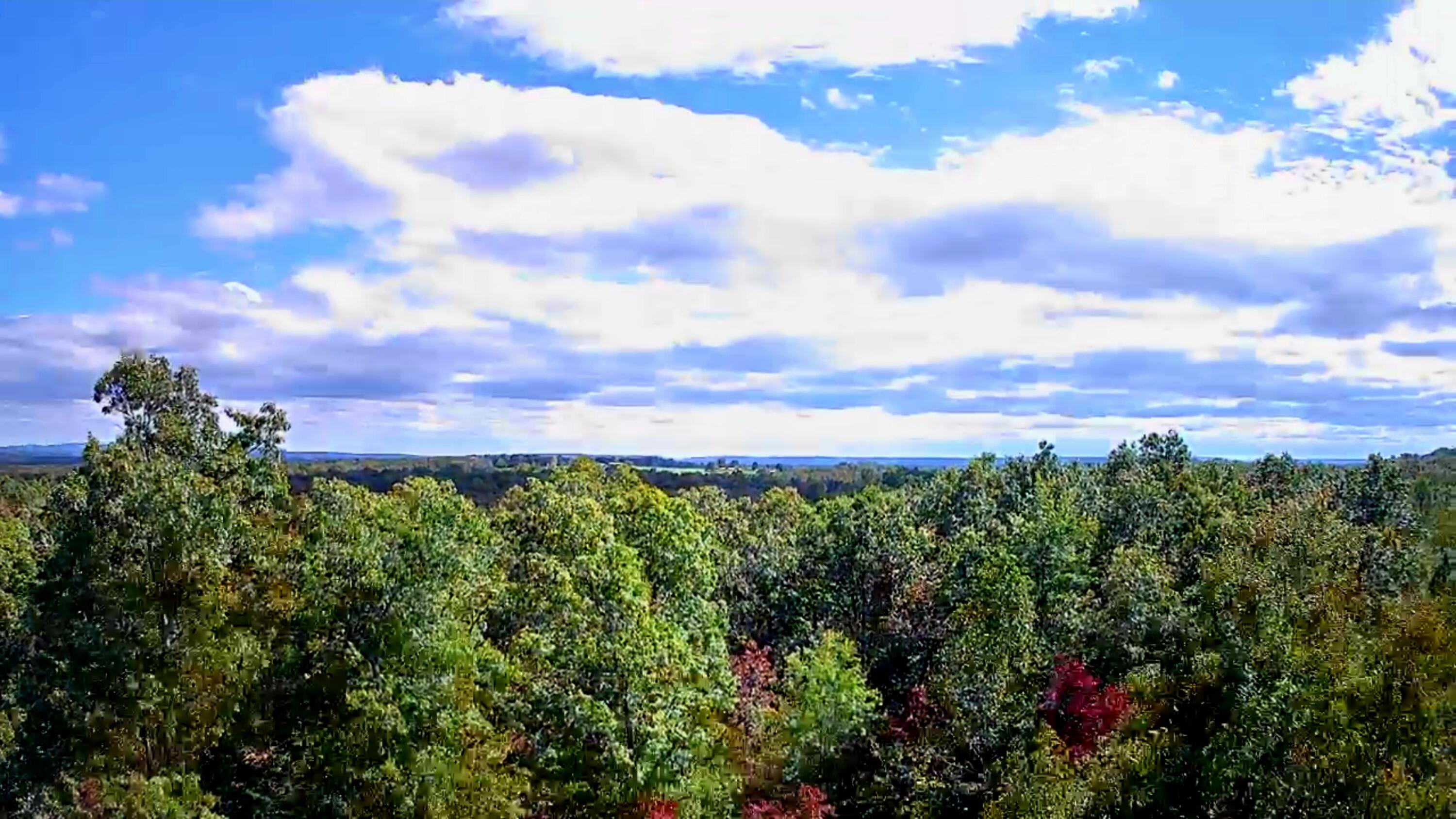 0 Long Branch Road, 179b