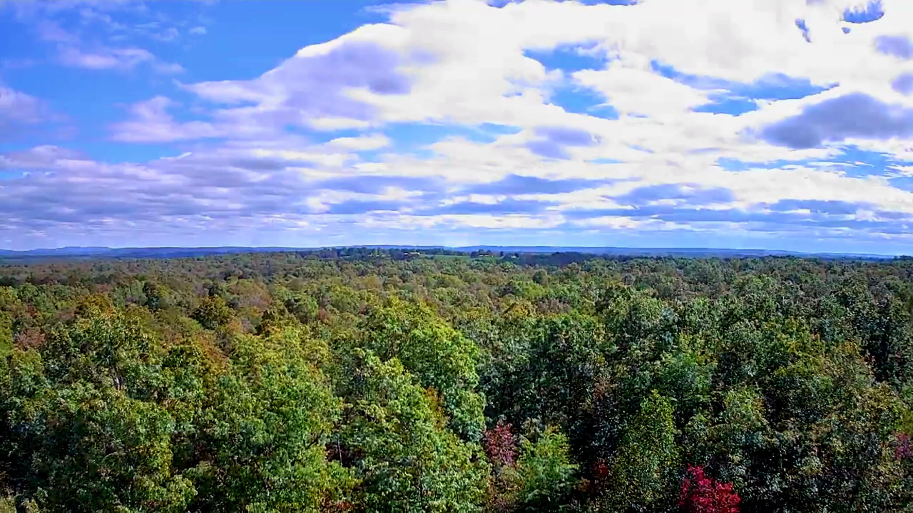 0 Long Branch Road, 179b