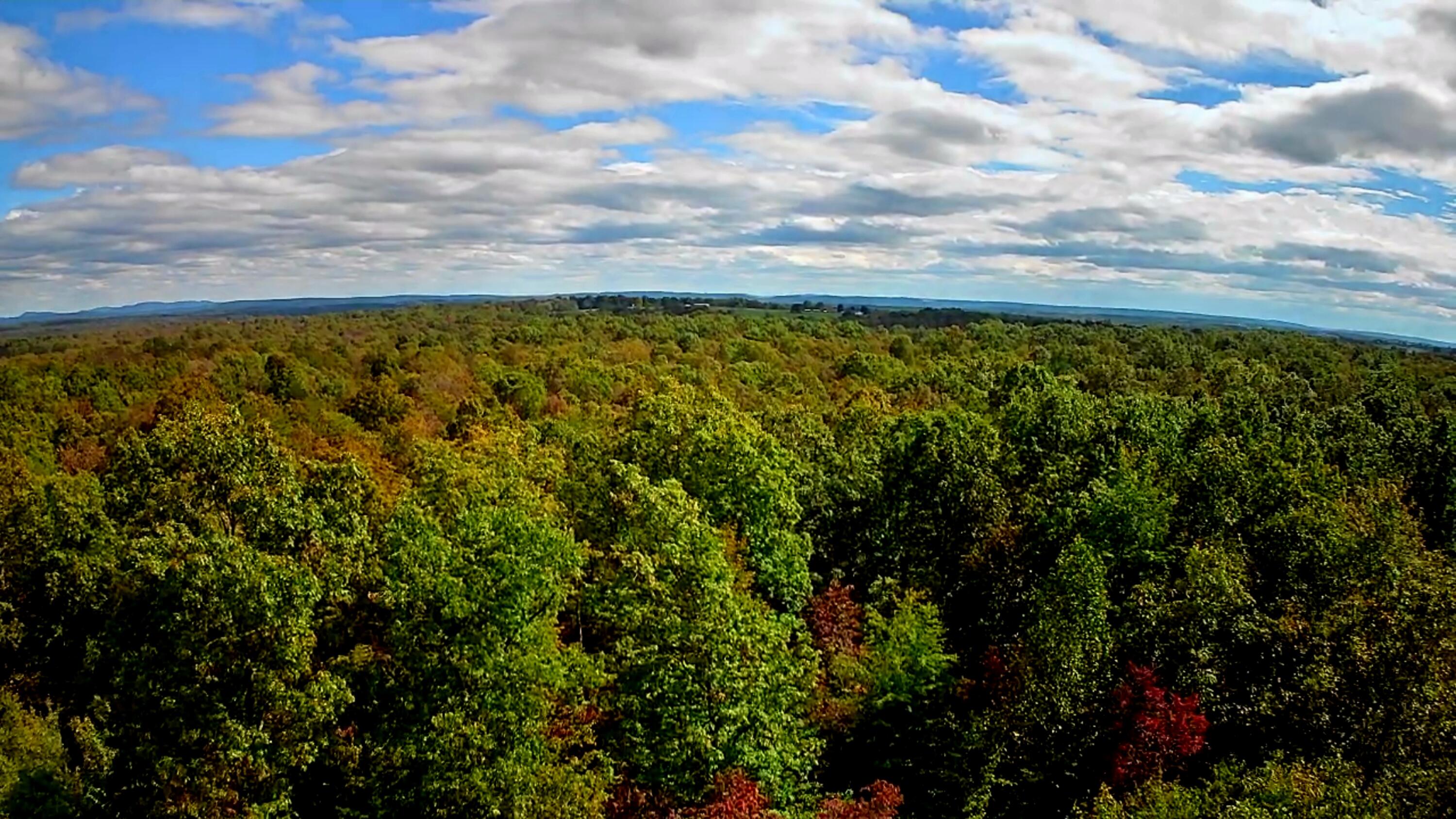 0 Long Branch Road, 179b