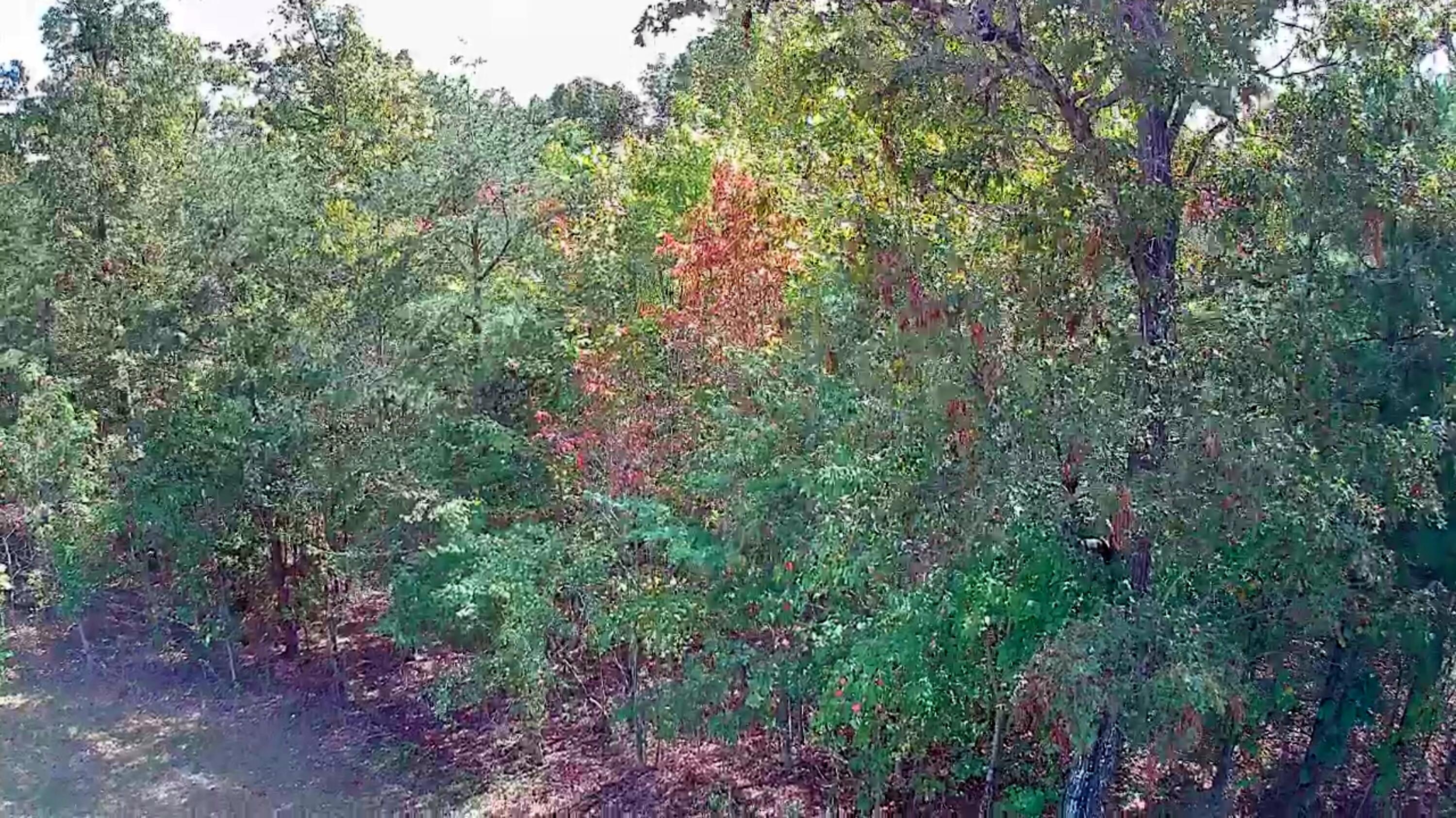 0 Long Branch Road, 179b