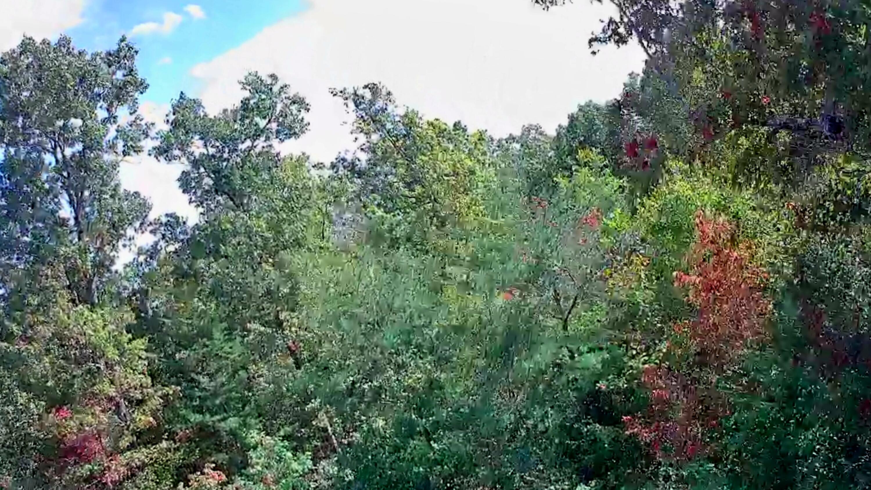 0 Long Branch Road, 179b