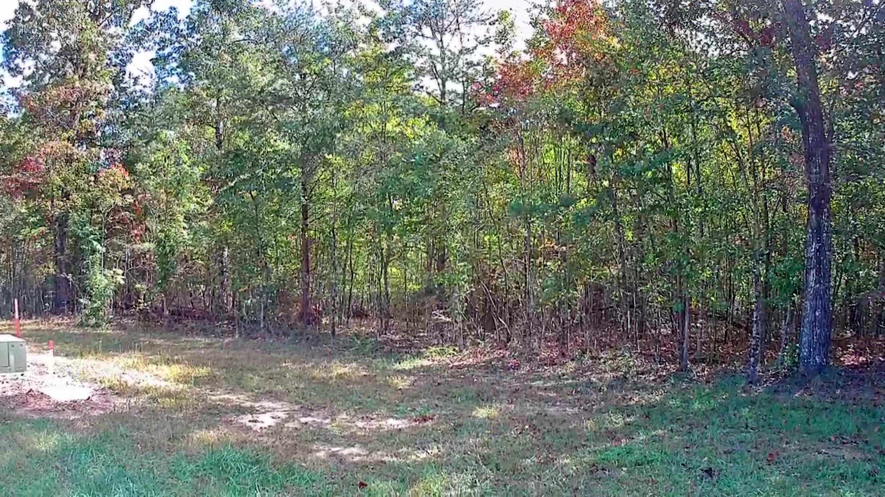 0 Long Branch Road, 179b