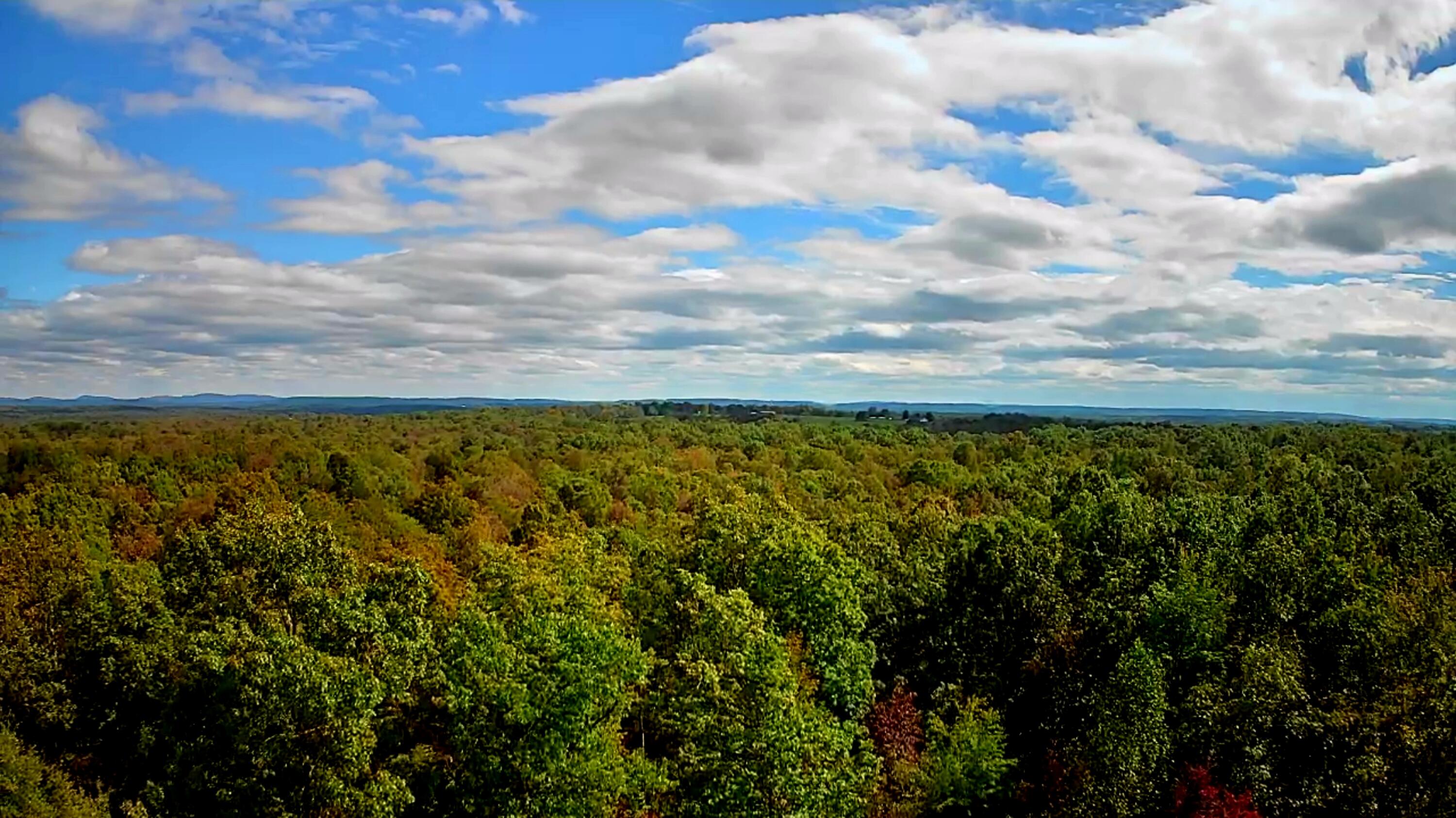 0 Long Branch Road, 179b