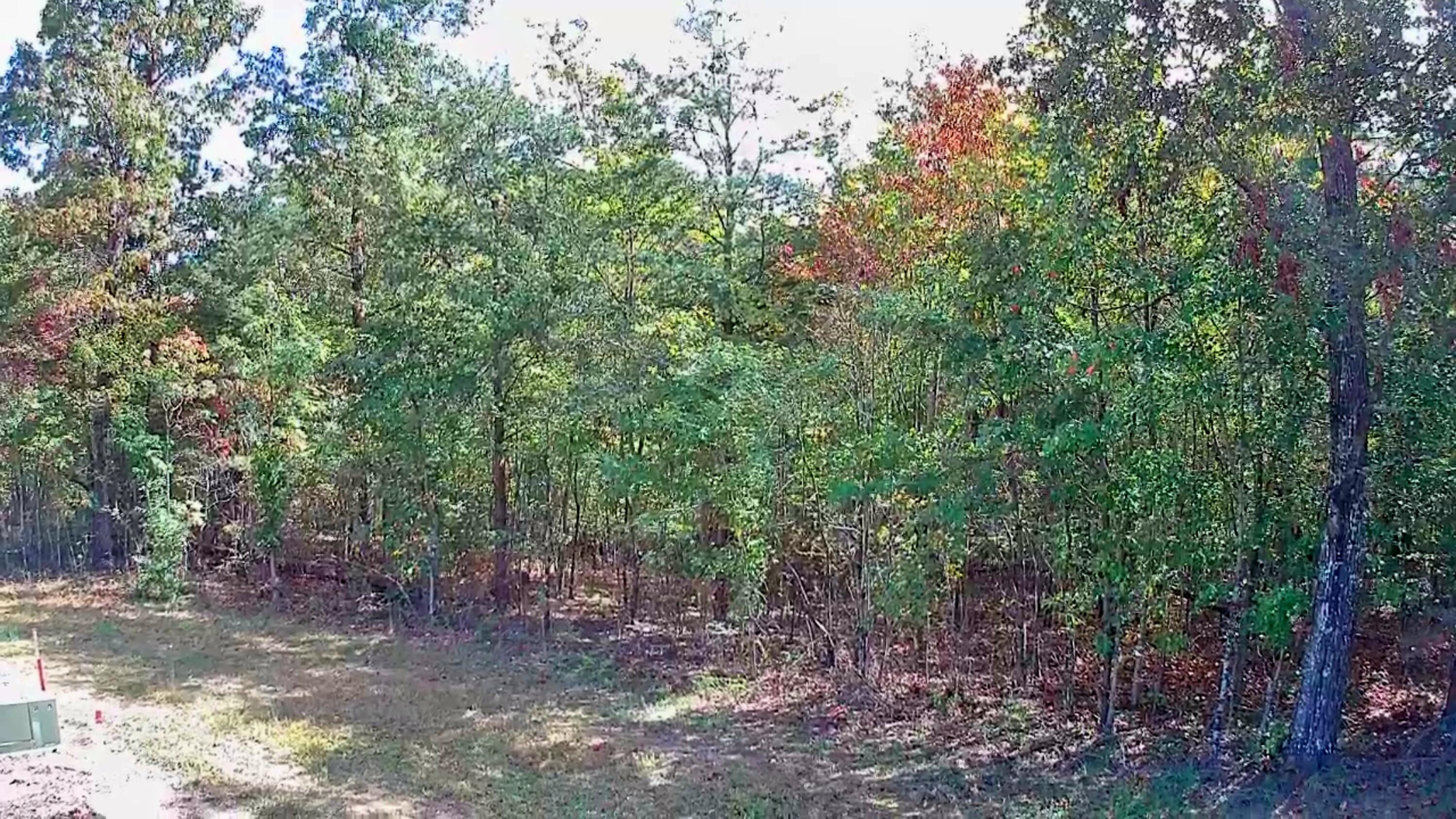 0 Long Branch Road, 179b