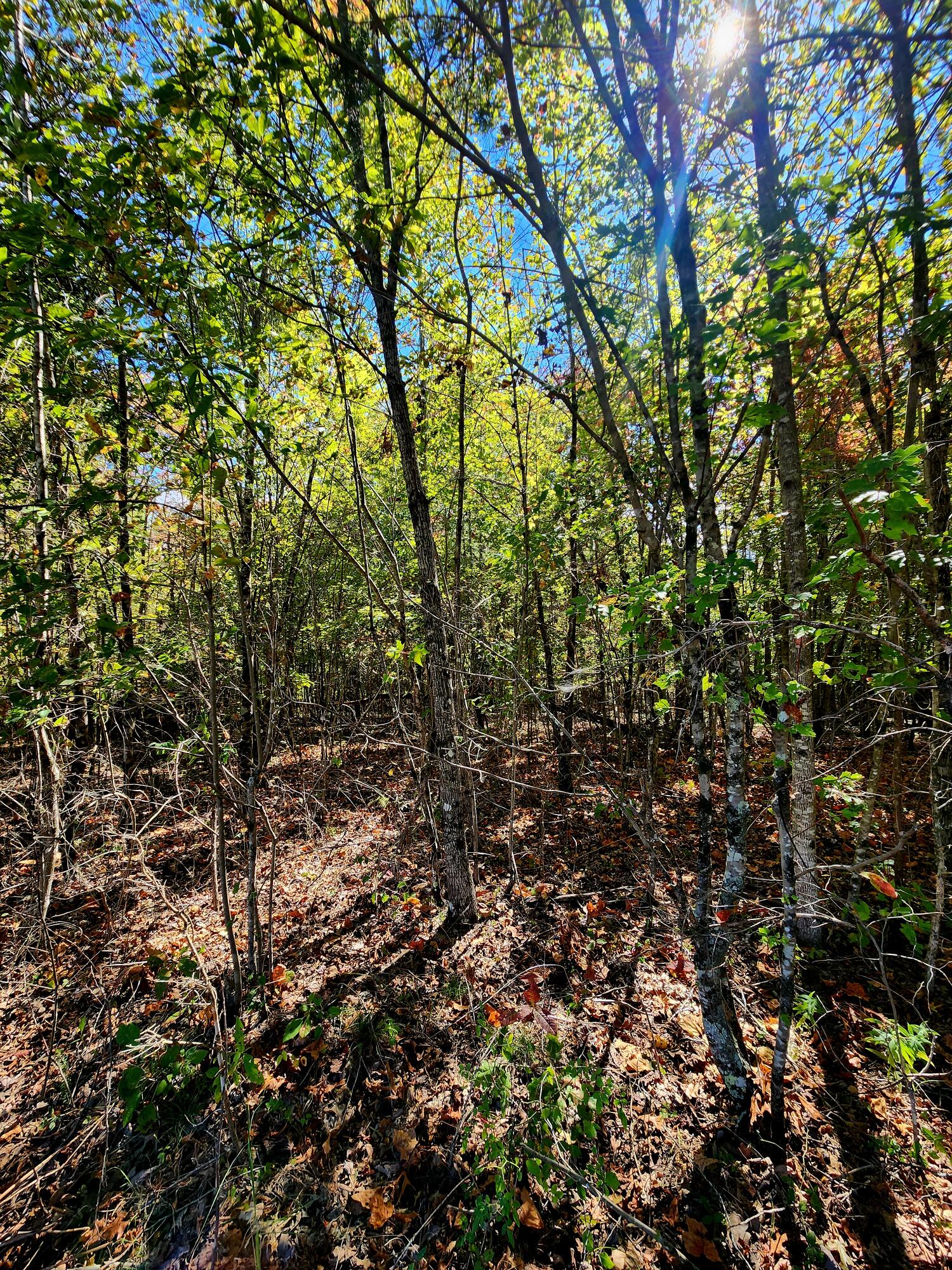 0 Long Branch Road, 179b