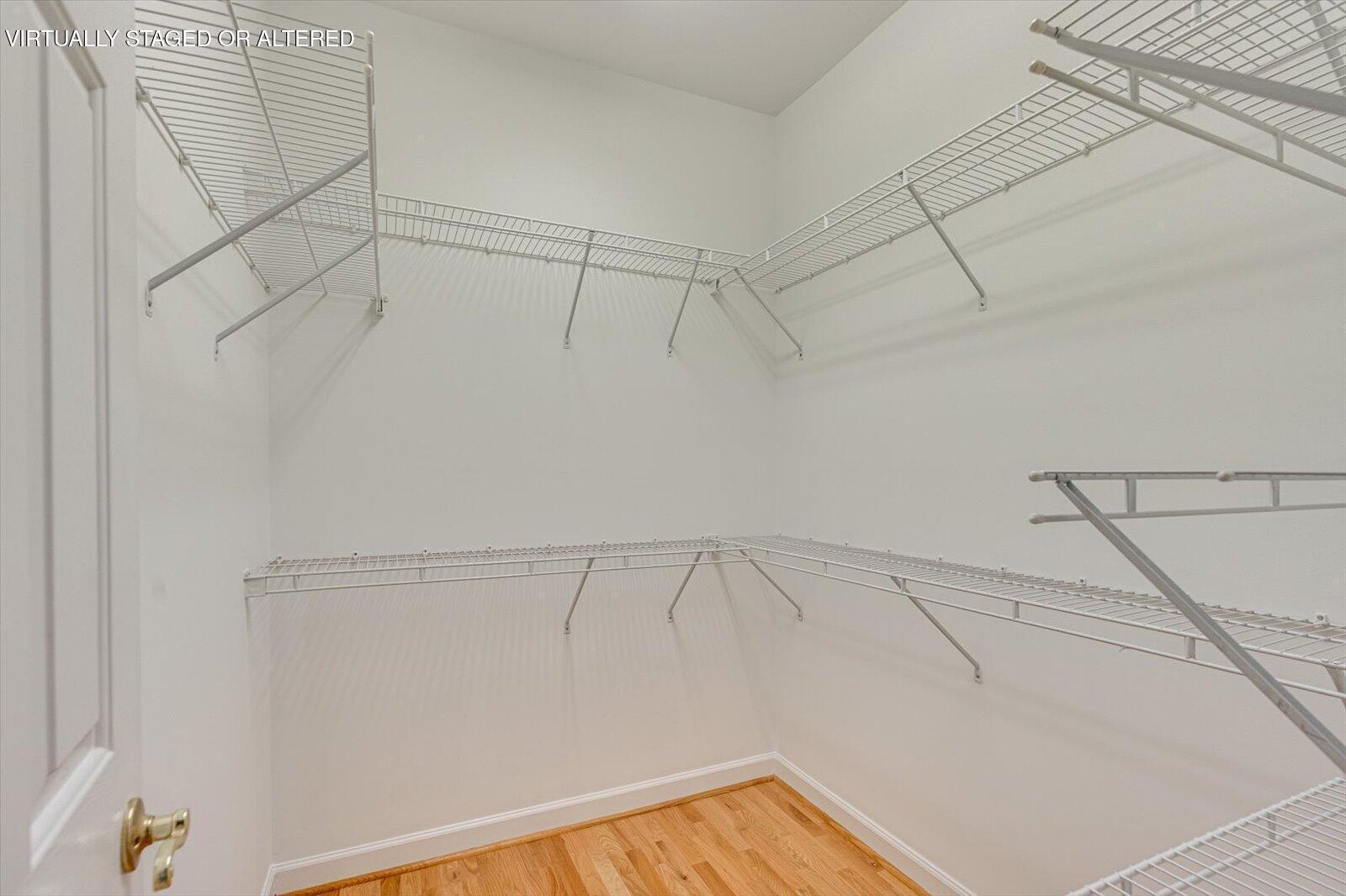 2431 Cone Flower Trail