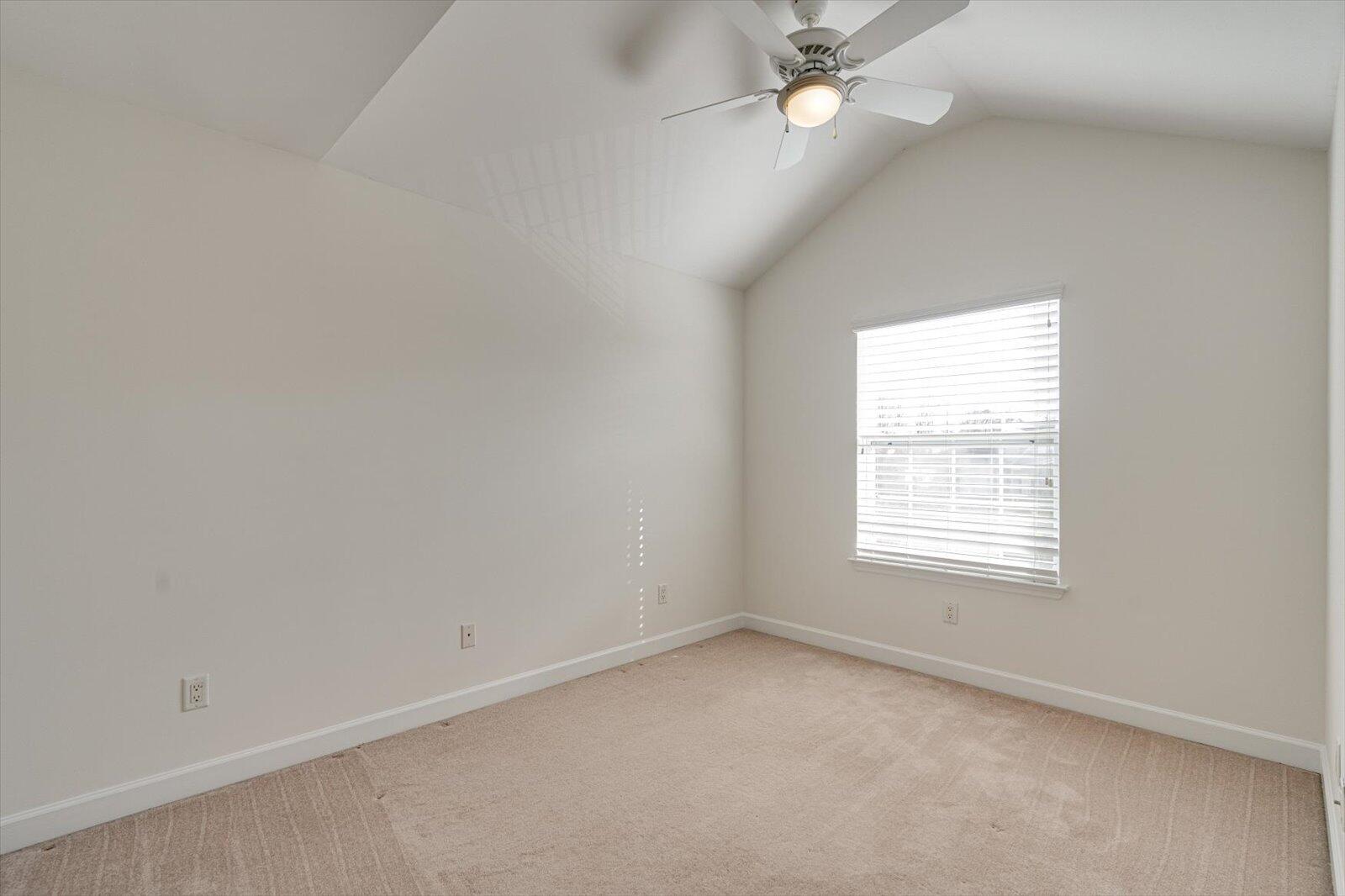 2431 Cone Flower Trail