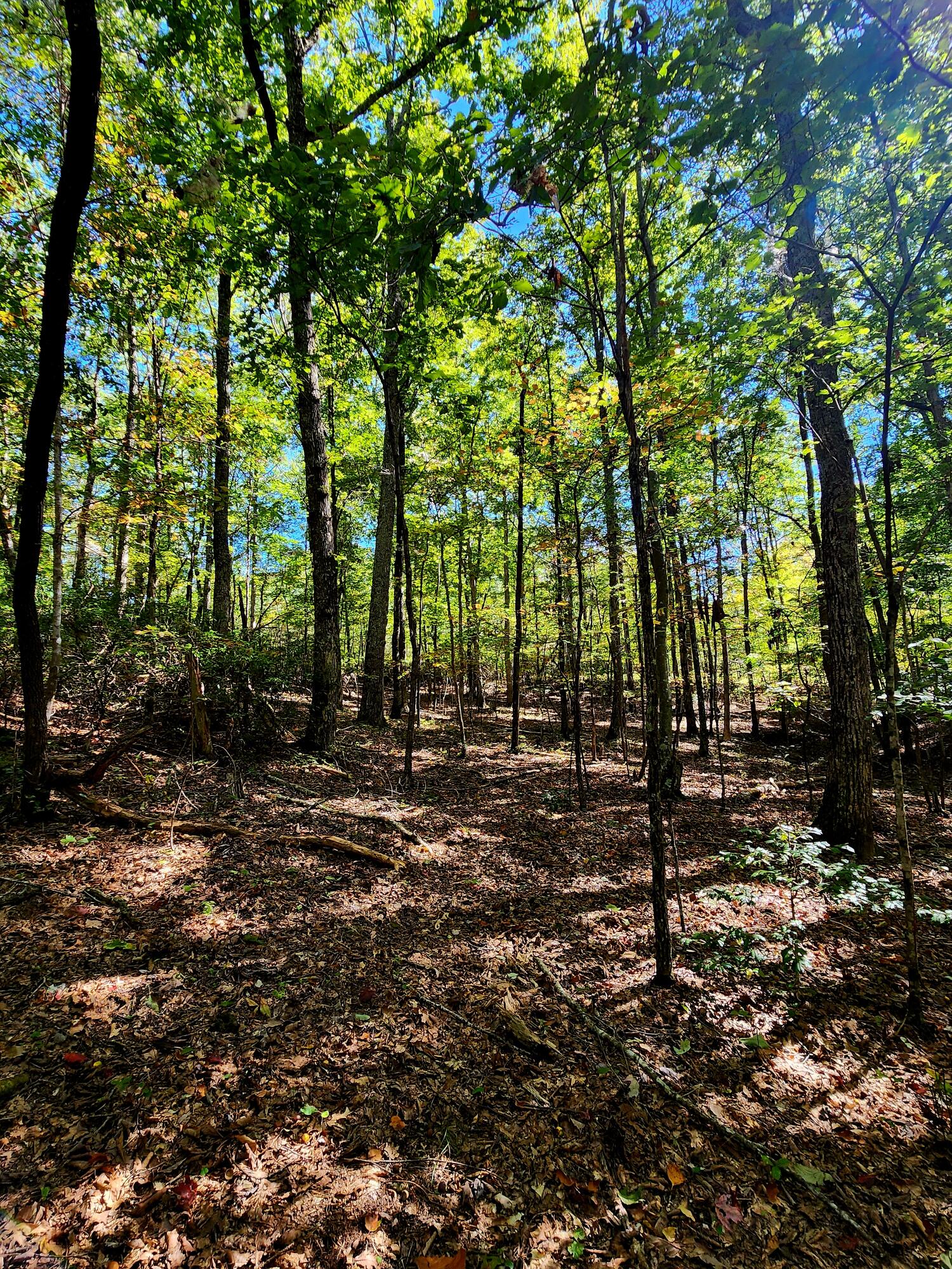 0 Ridge Wood Lane, 431