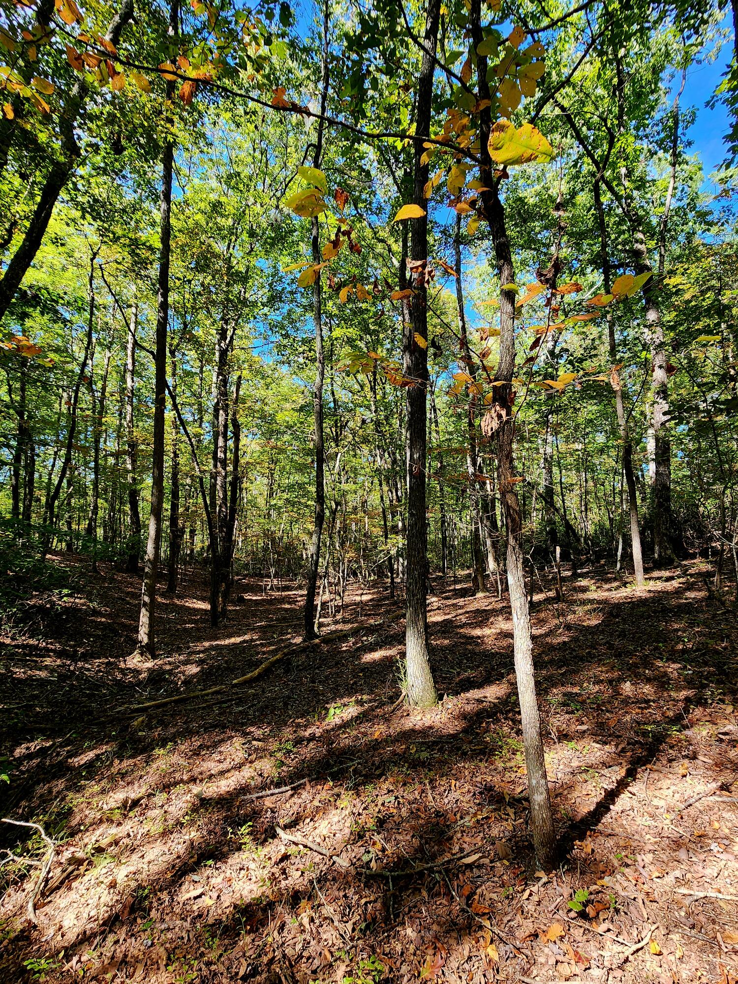 0 Ridge Wood Lane, 431