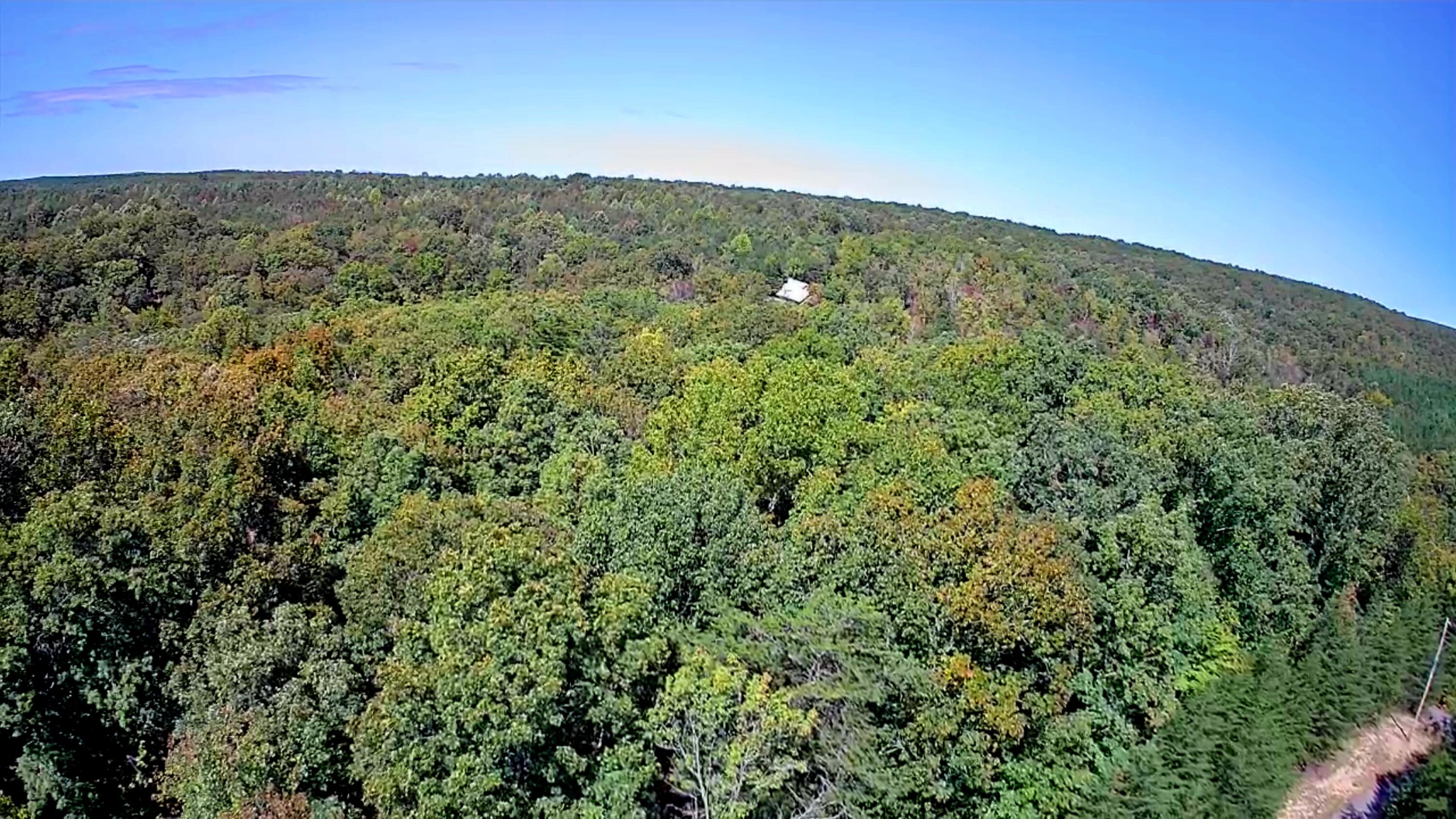 0 Ridge Wood Lane, 431