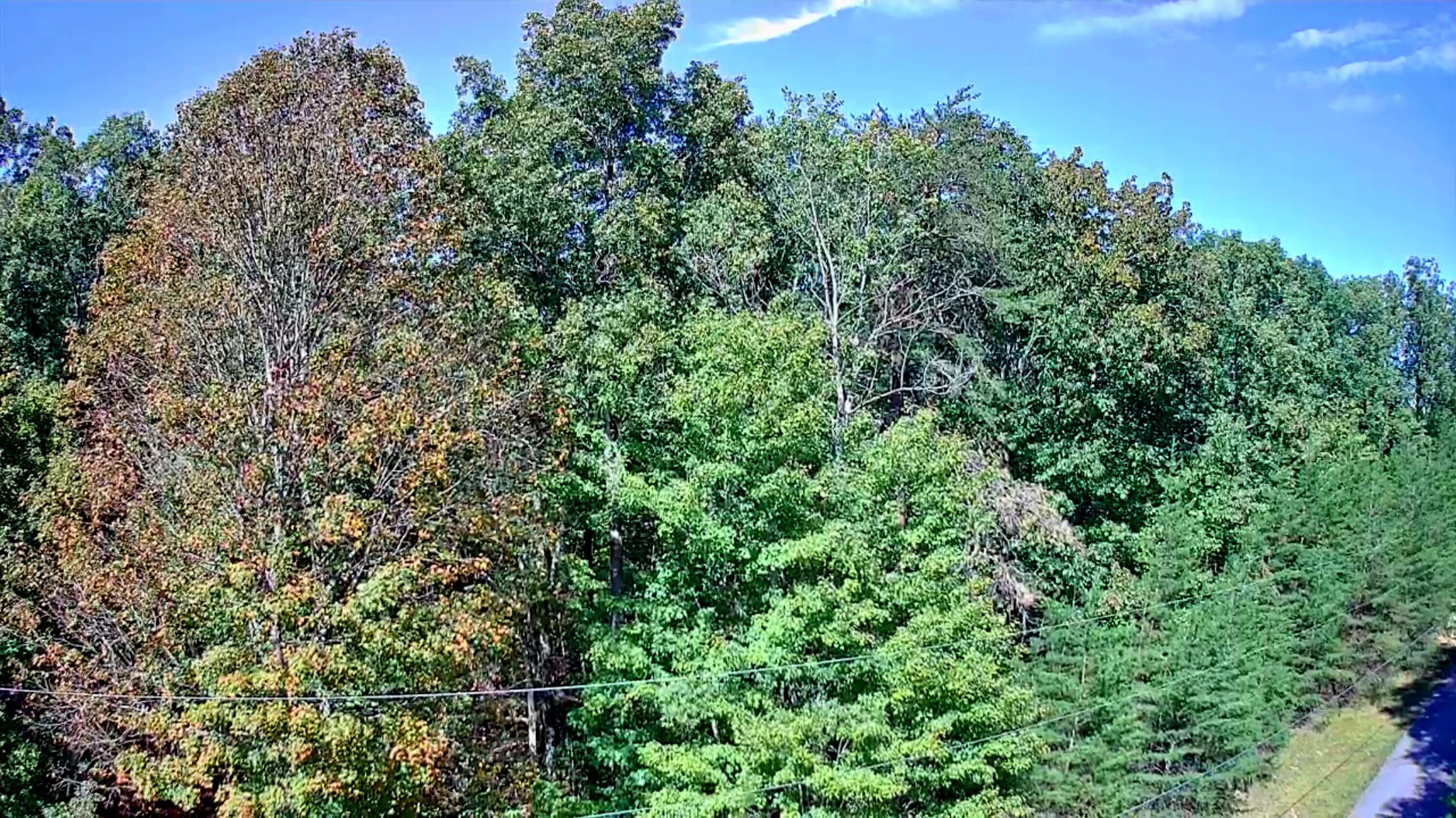 0 Ridge Wood Lane, 431