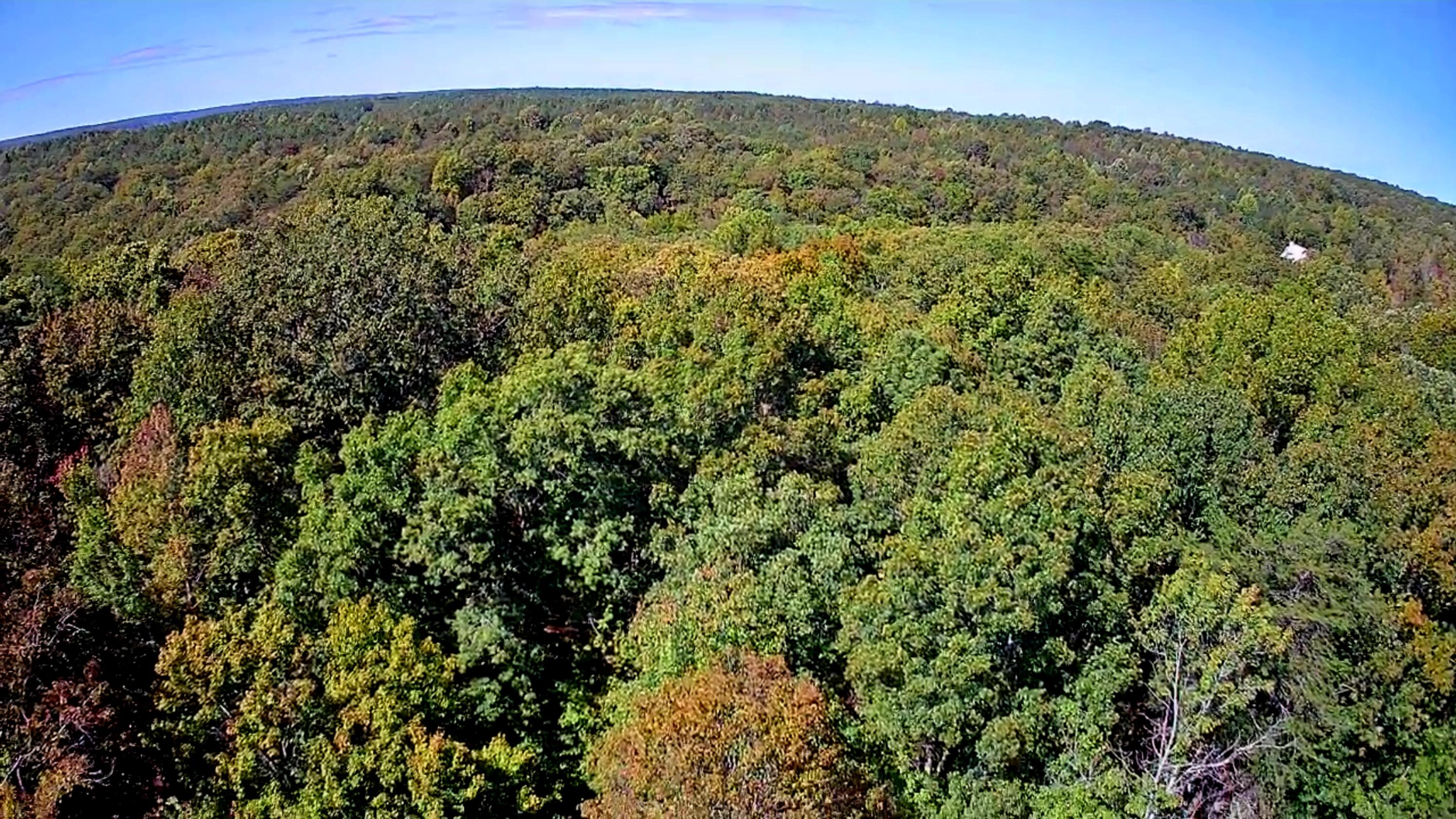 0 Ridge Wood Lane, 431