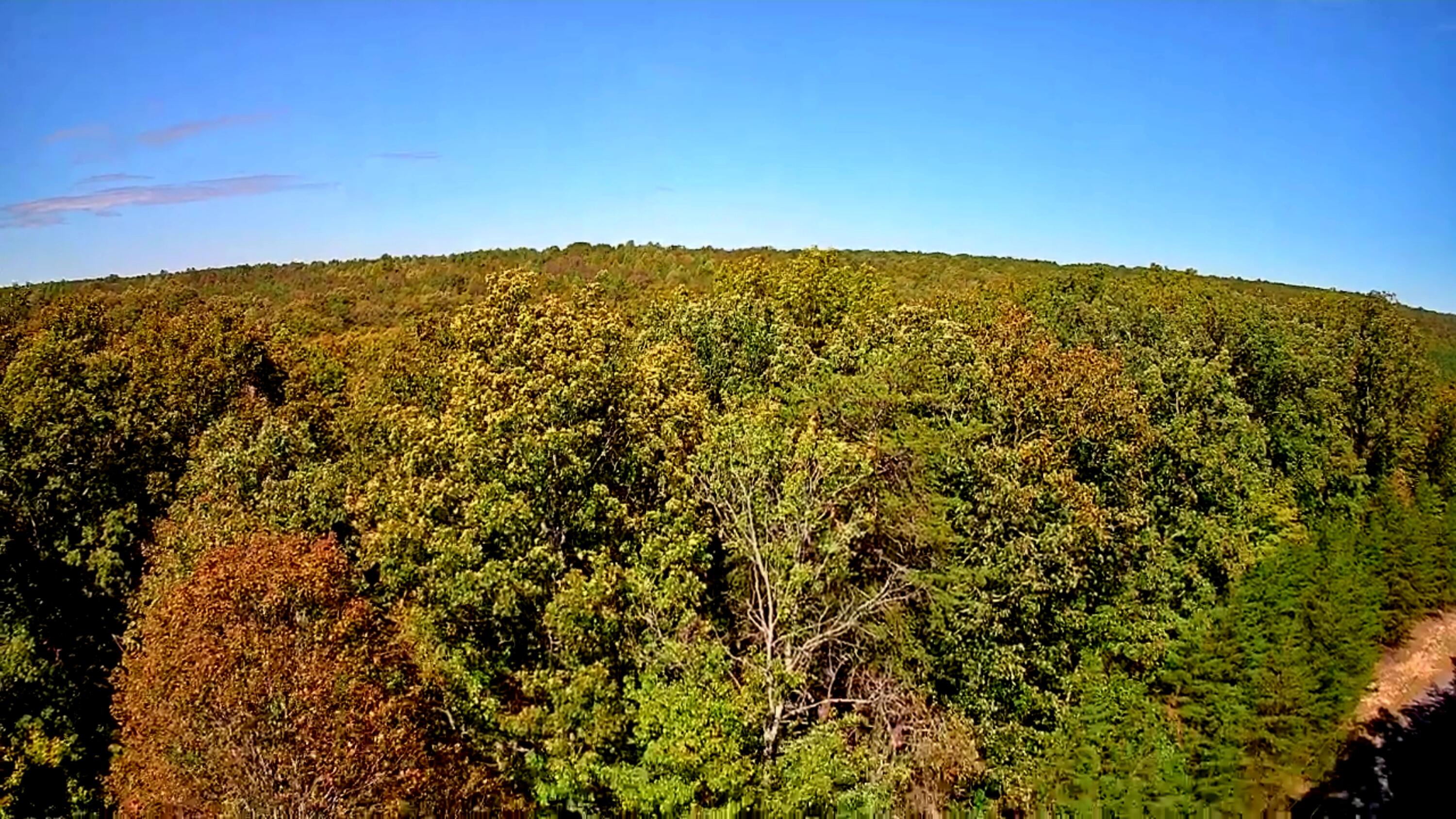 0 Ridge Wood Lane, 431