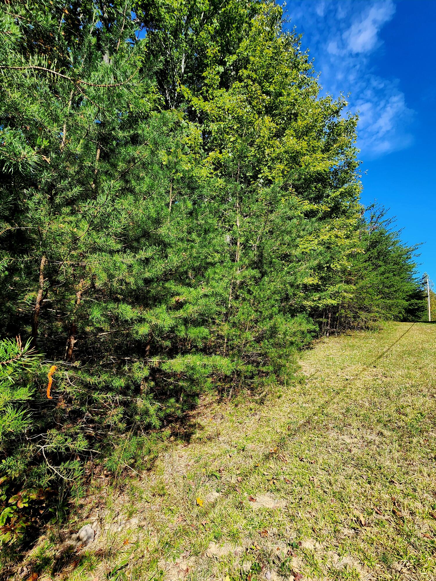 0 Ridge Wood Lane, 431