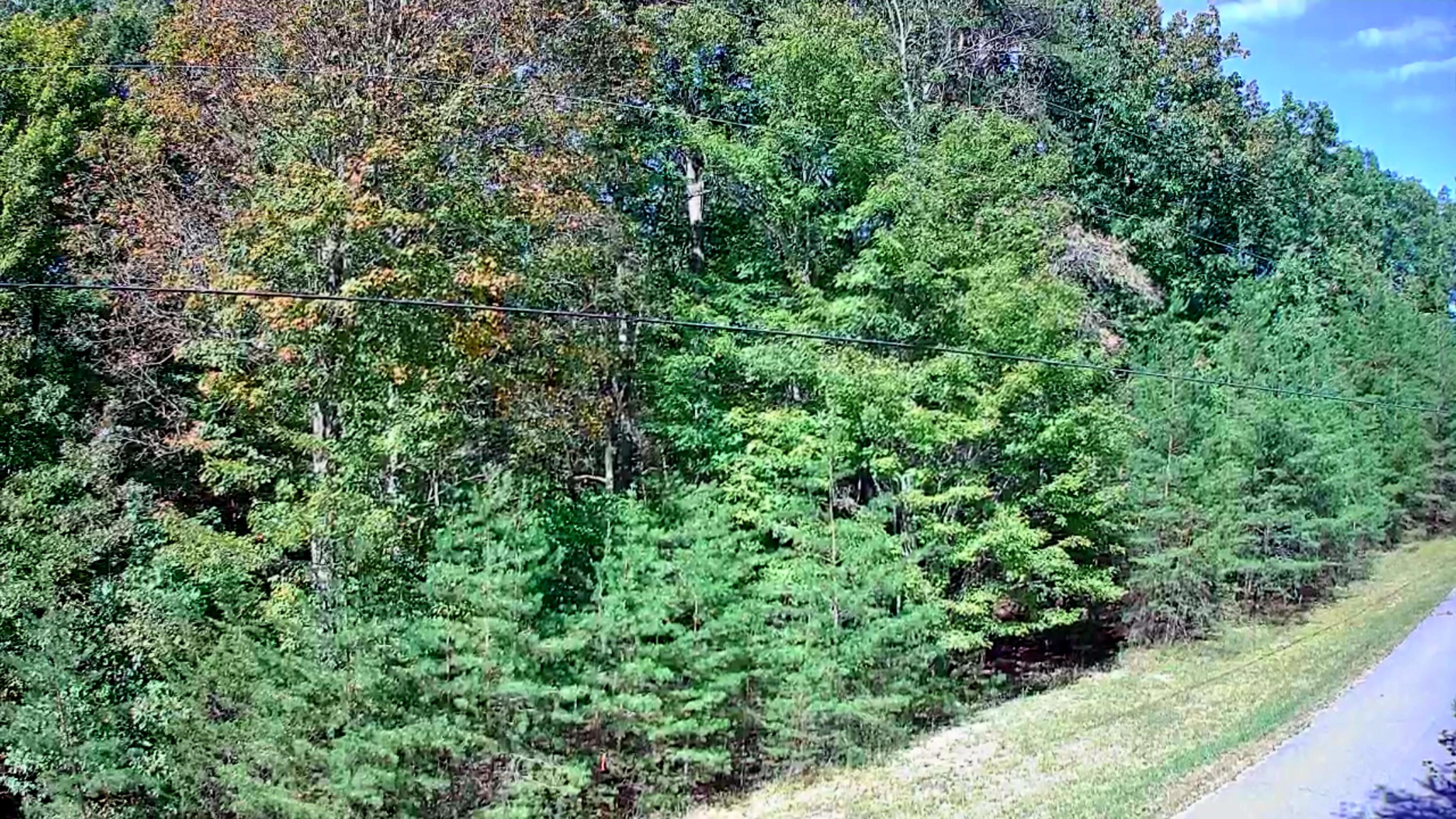 0 Ridge Wood Lane, 431