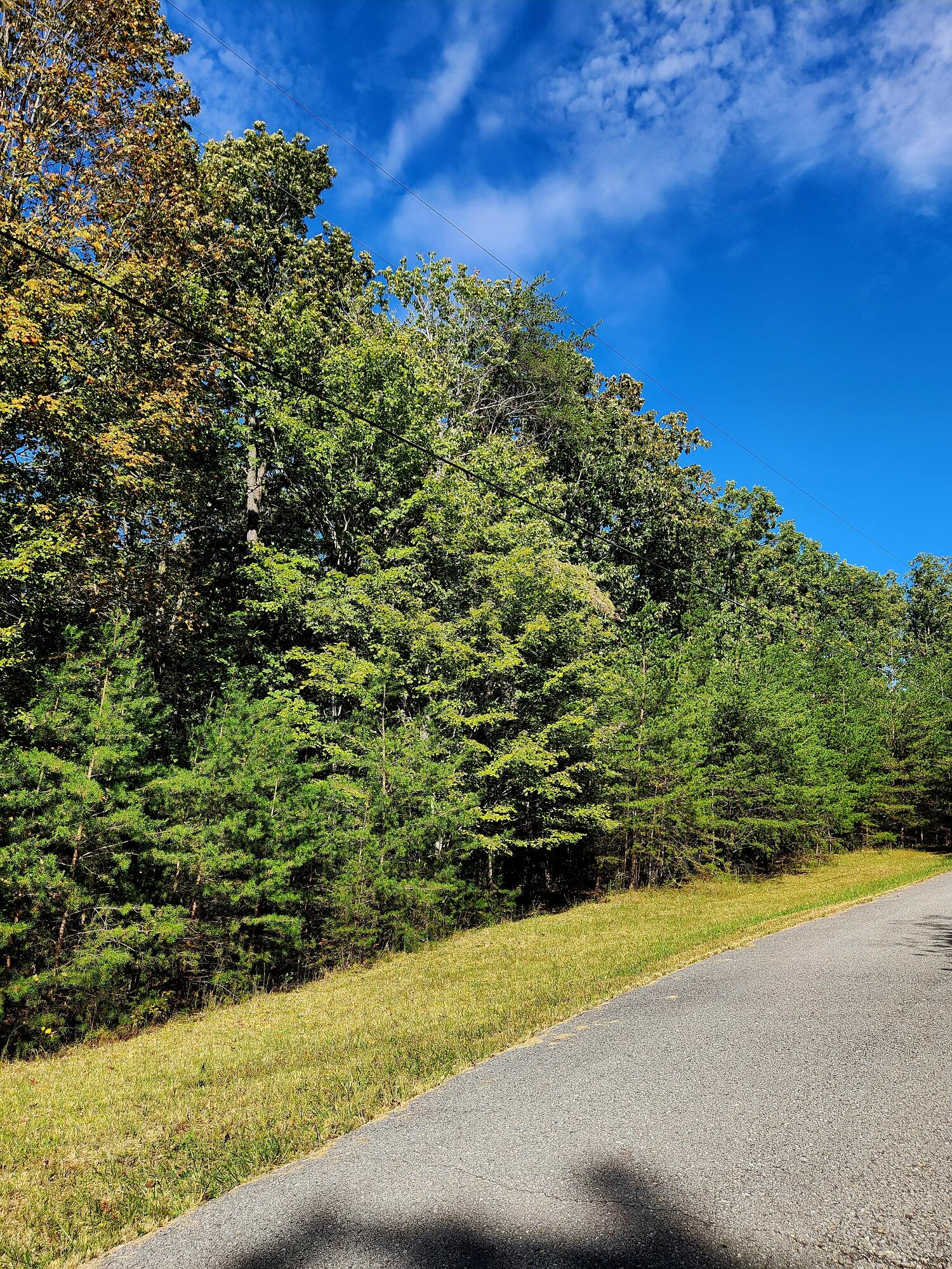 0 Ridge Wood Lane, 431