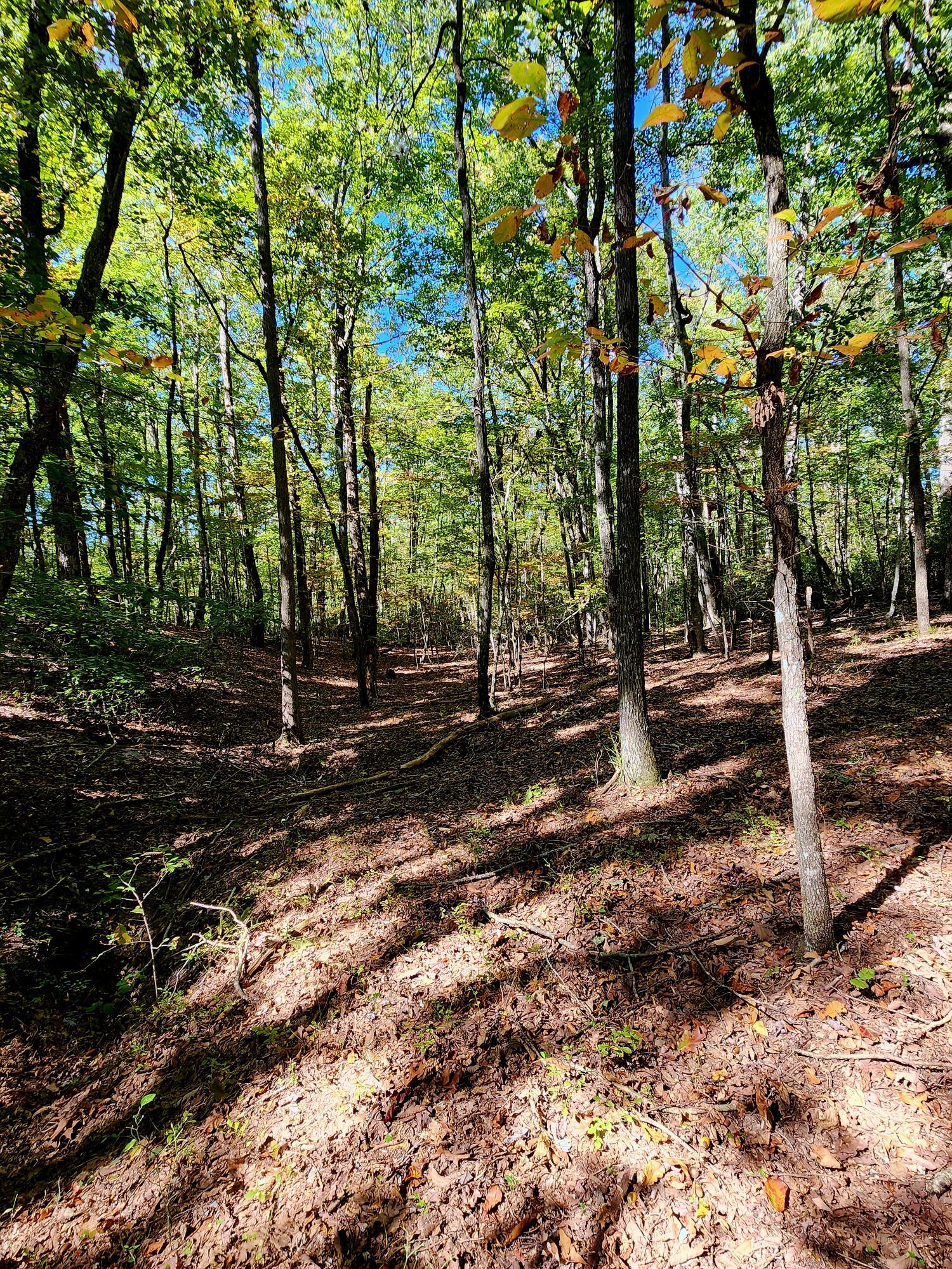 0 Ridge Wood Lane, 431