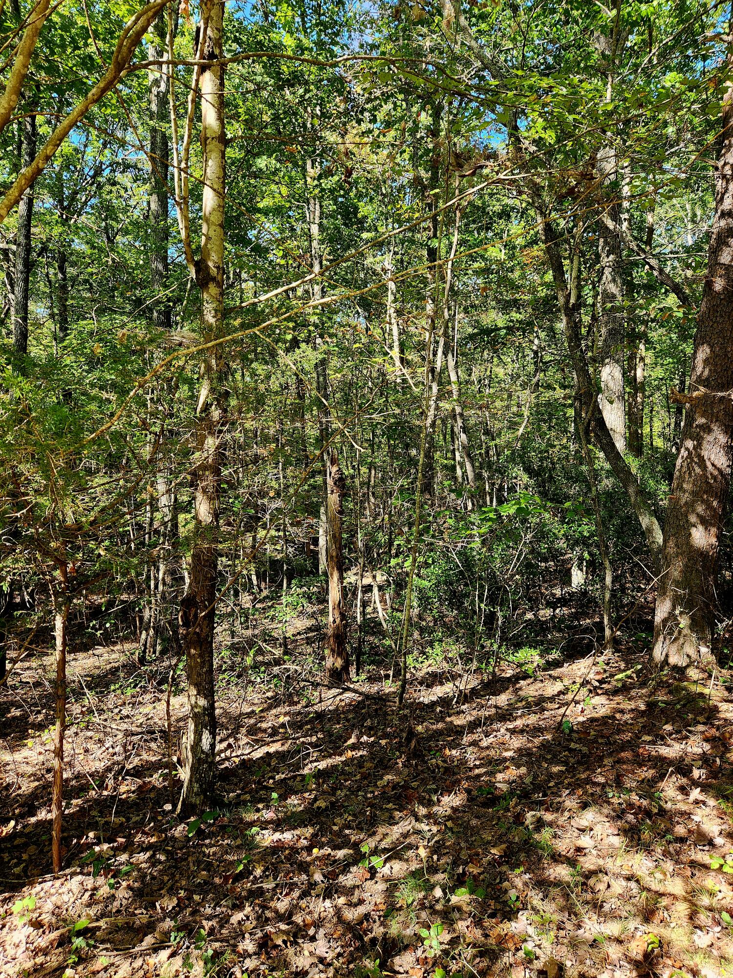 0 Ridge Wood Lane, 431