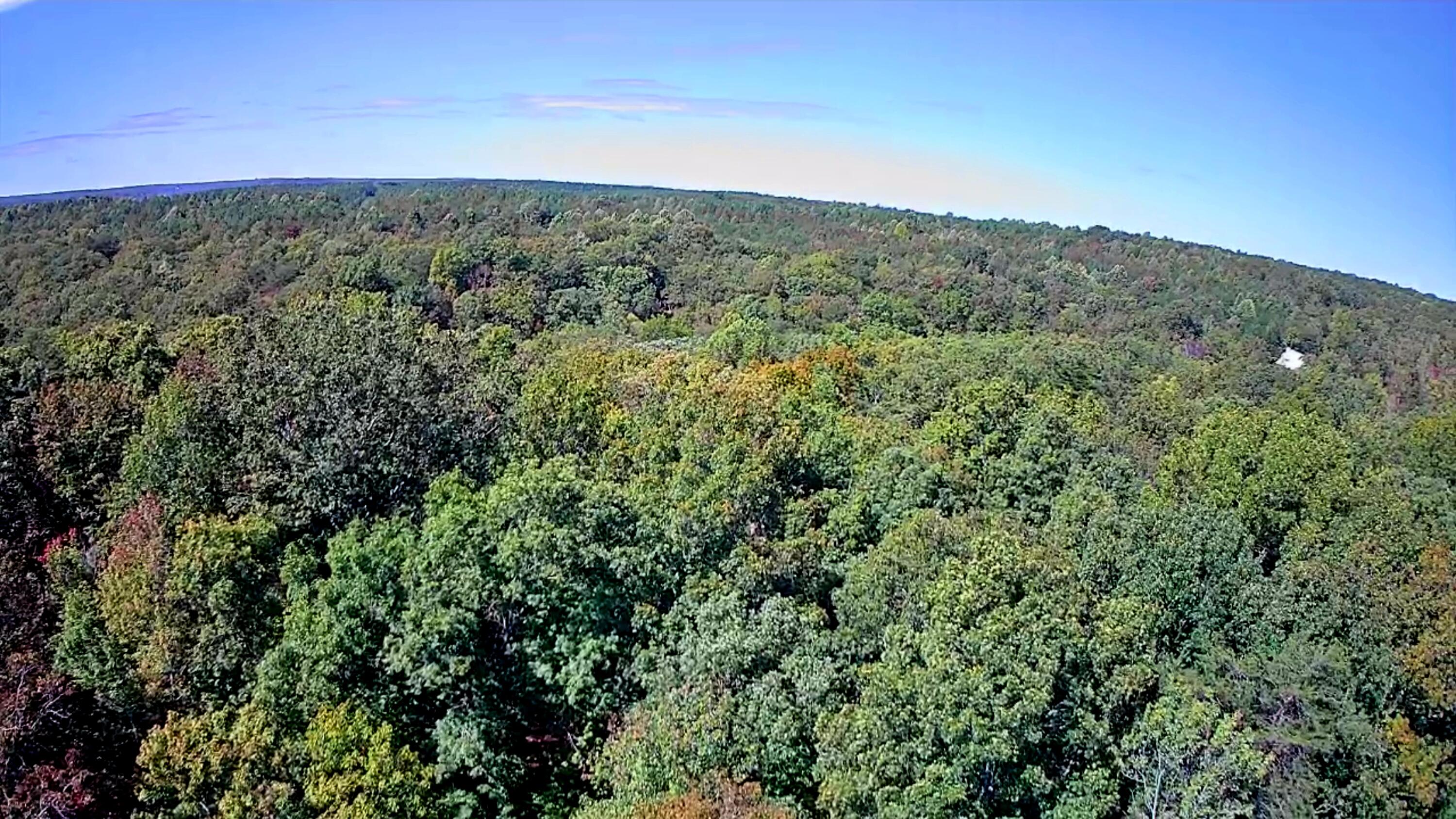 0 Ridge Wood Lane, 431