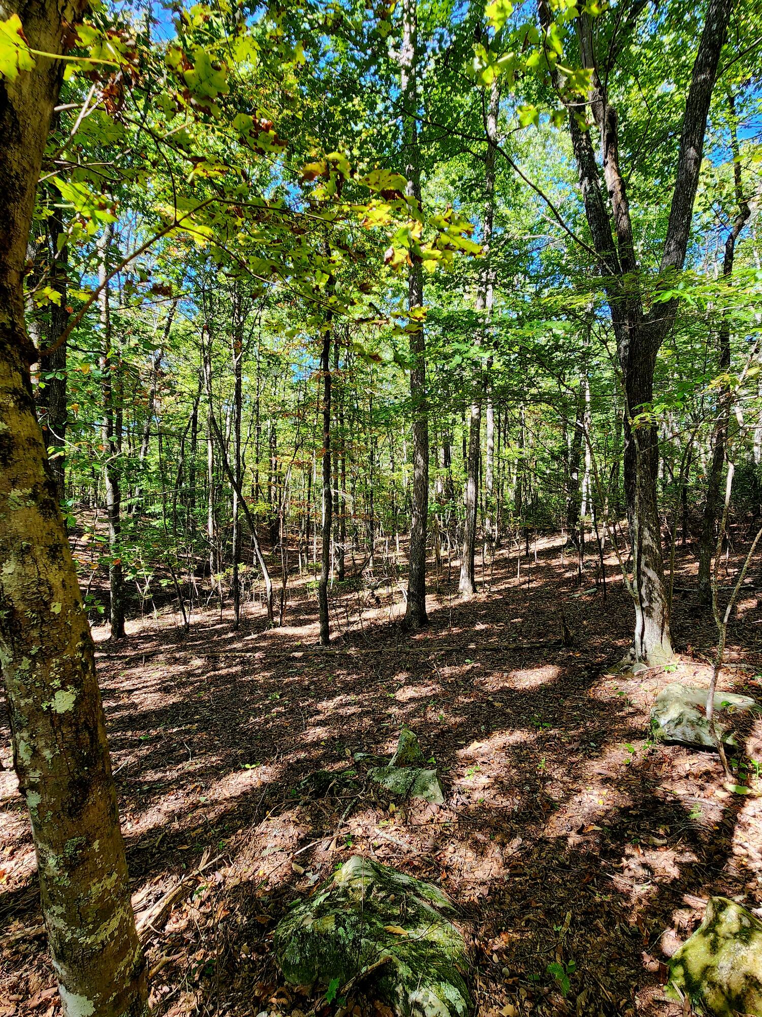 0 Ridge Wood Lane, 431