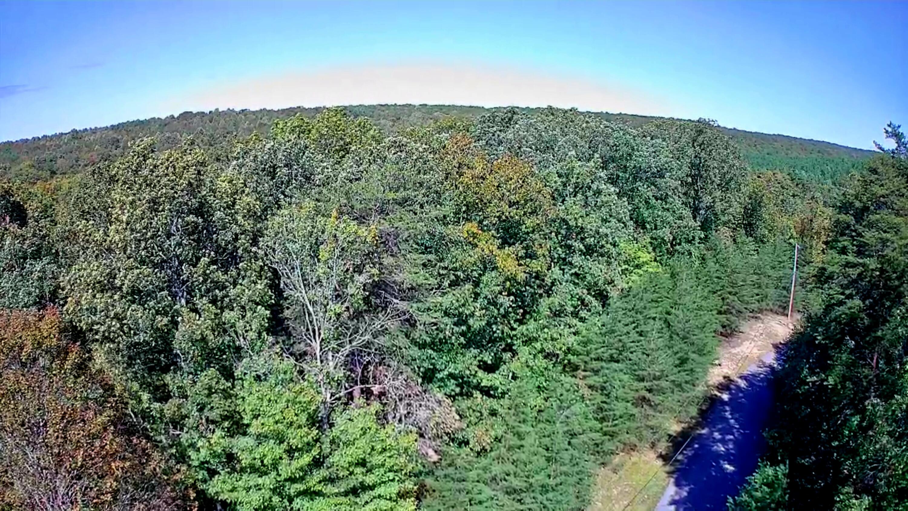 0 Ridge Wood Lane, 431