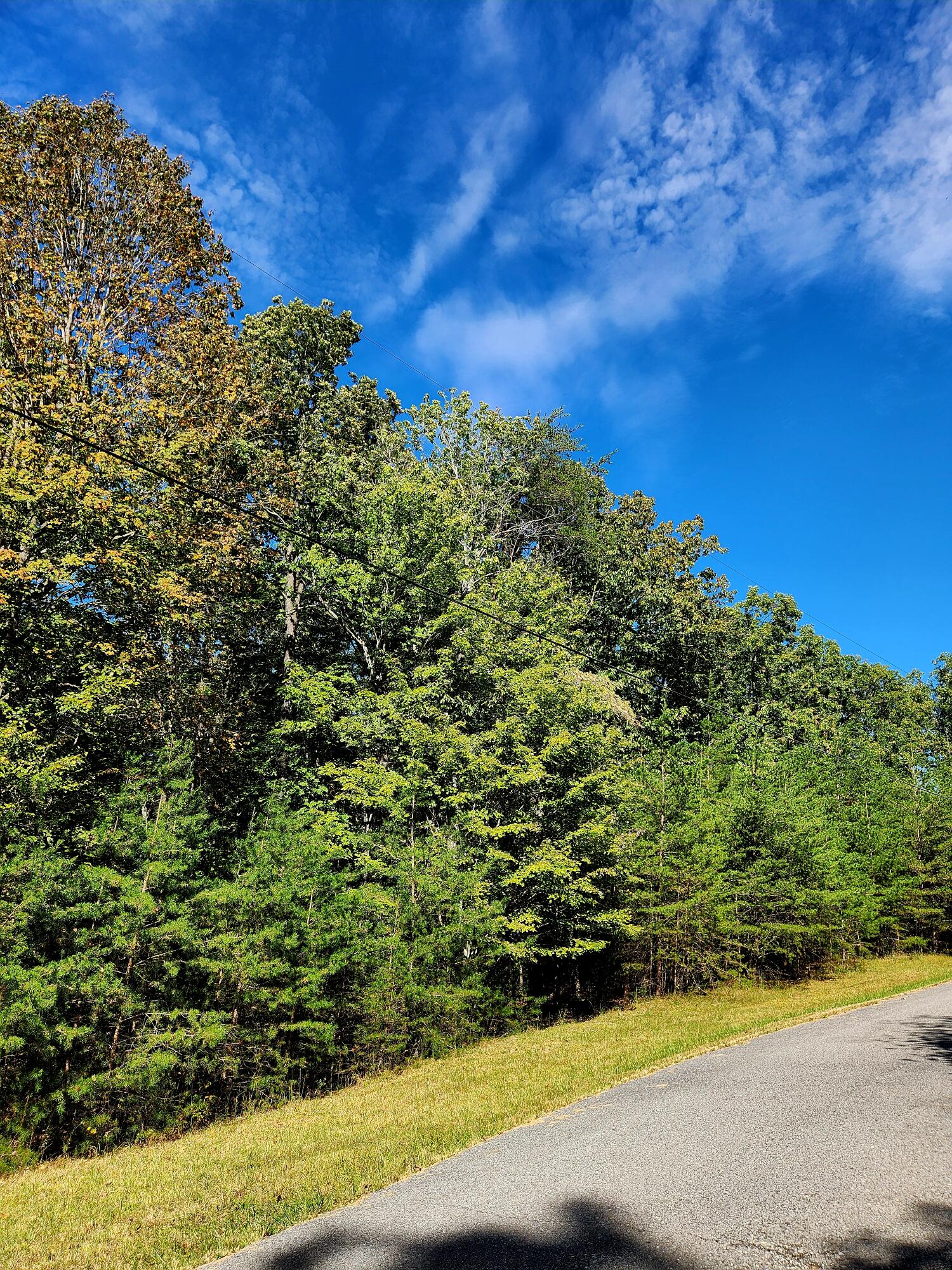 0 Ridge Wood Lane, 431