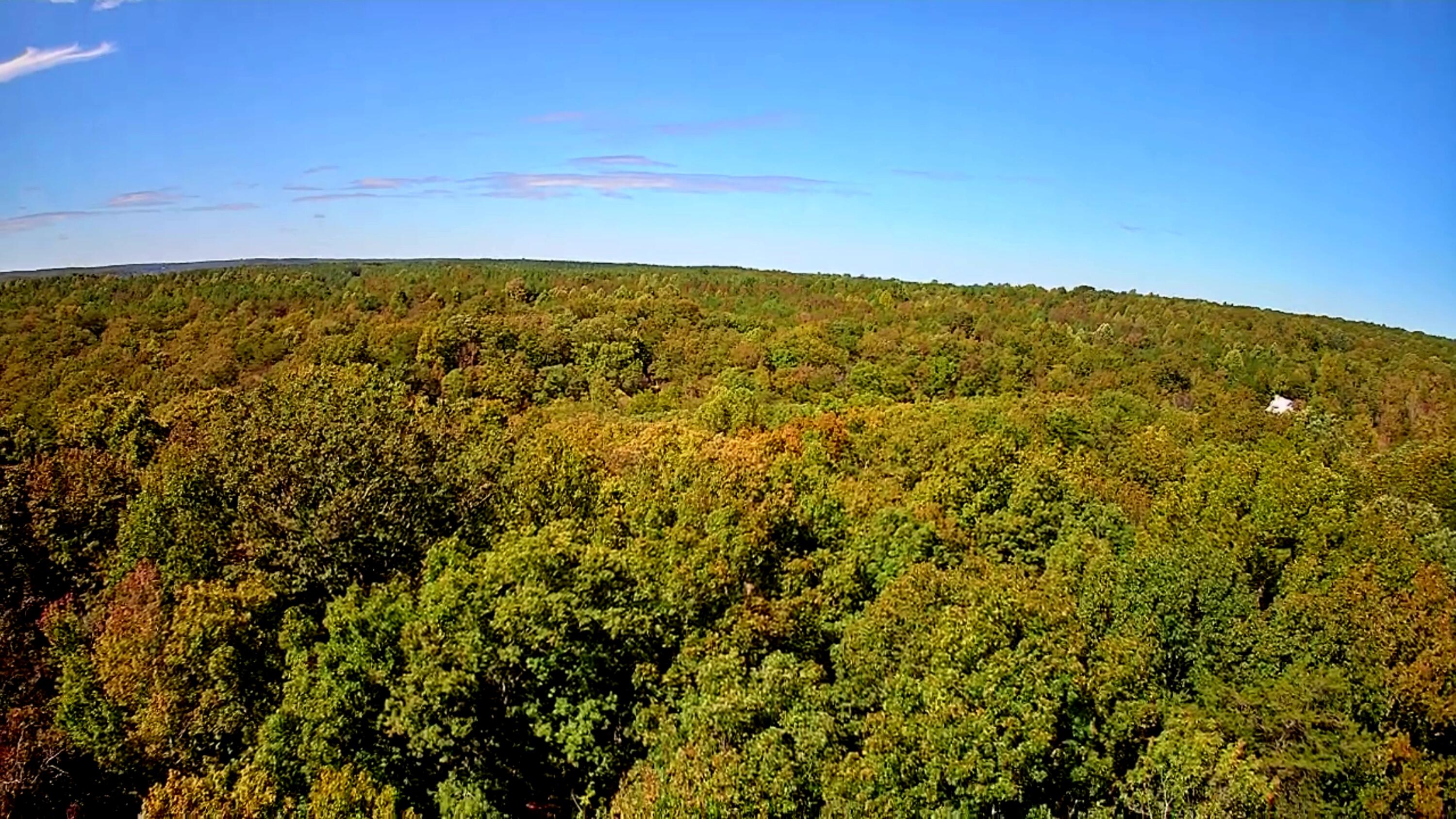 0 Ridge Wood Lane, 392