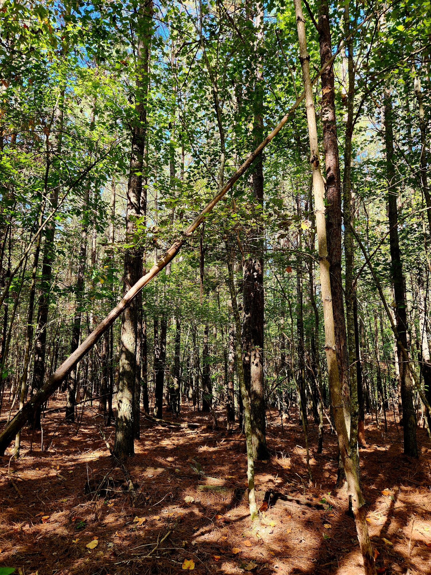 0 Ridge Wood Lane, 392