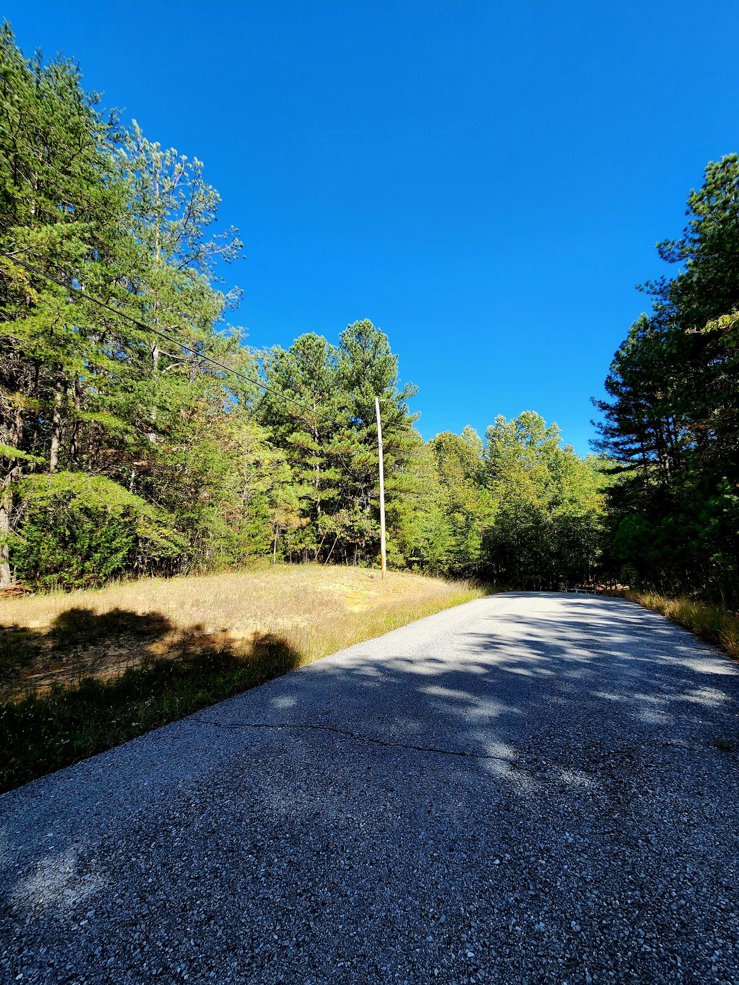 0 Ridge Wood Lane, 392