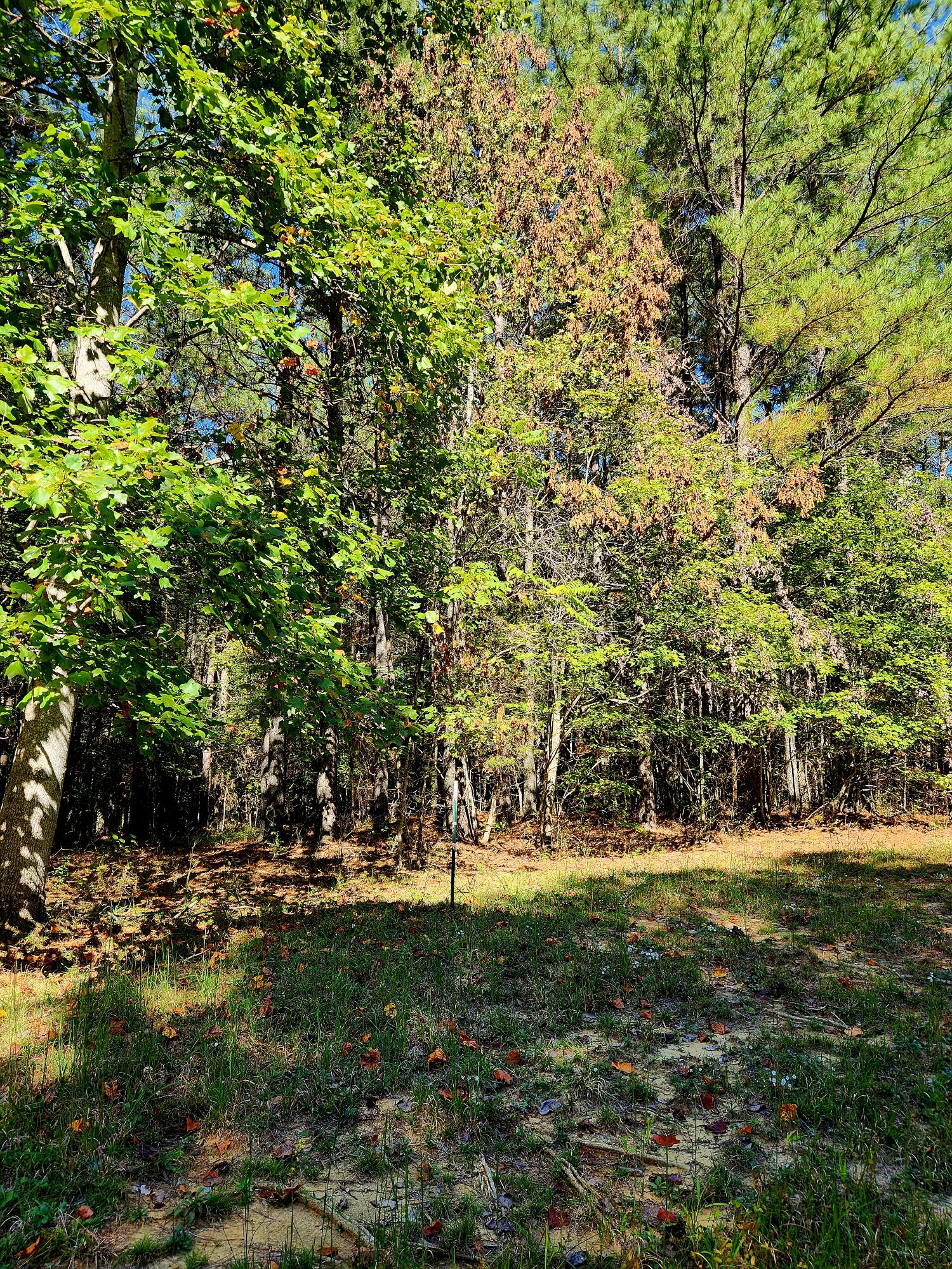 0 Ridge Wood Lane, 392