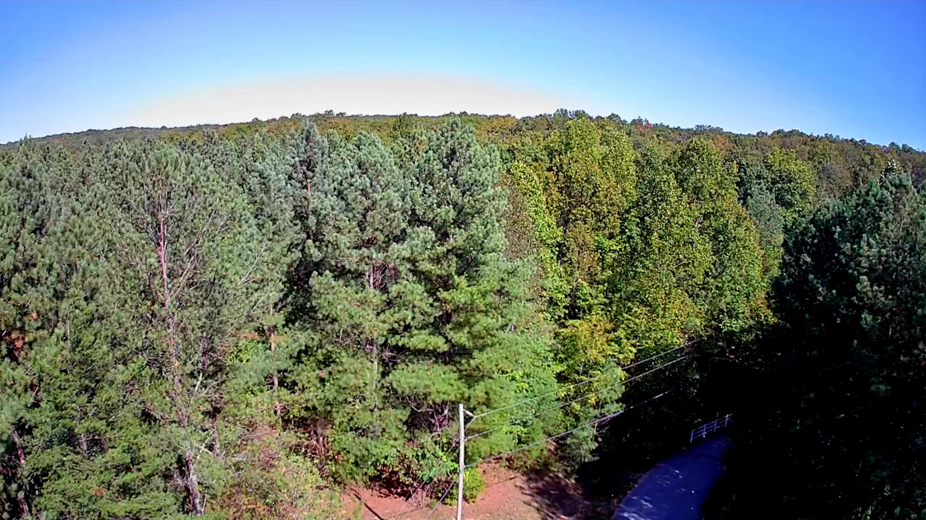 0 Ridge Wood Lane, 392