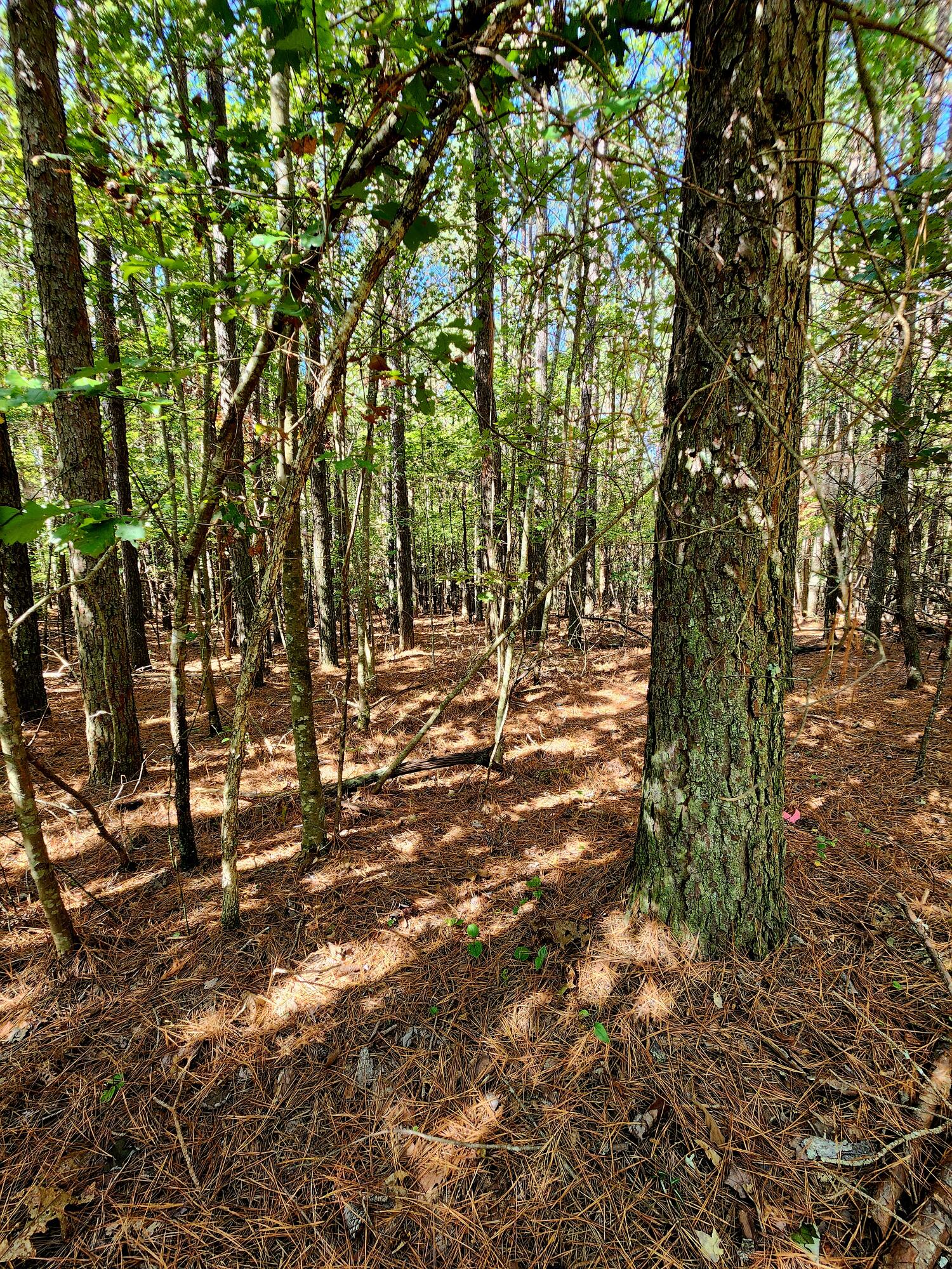 0 Ridge Wood Lane, 392