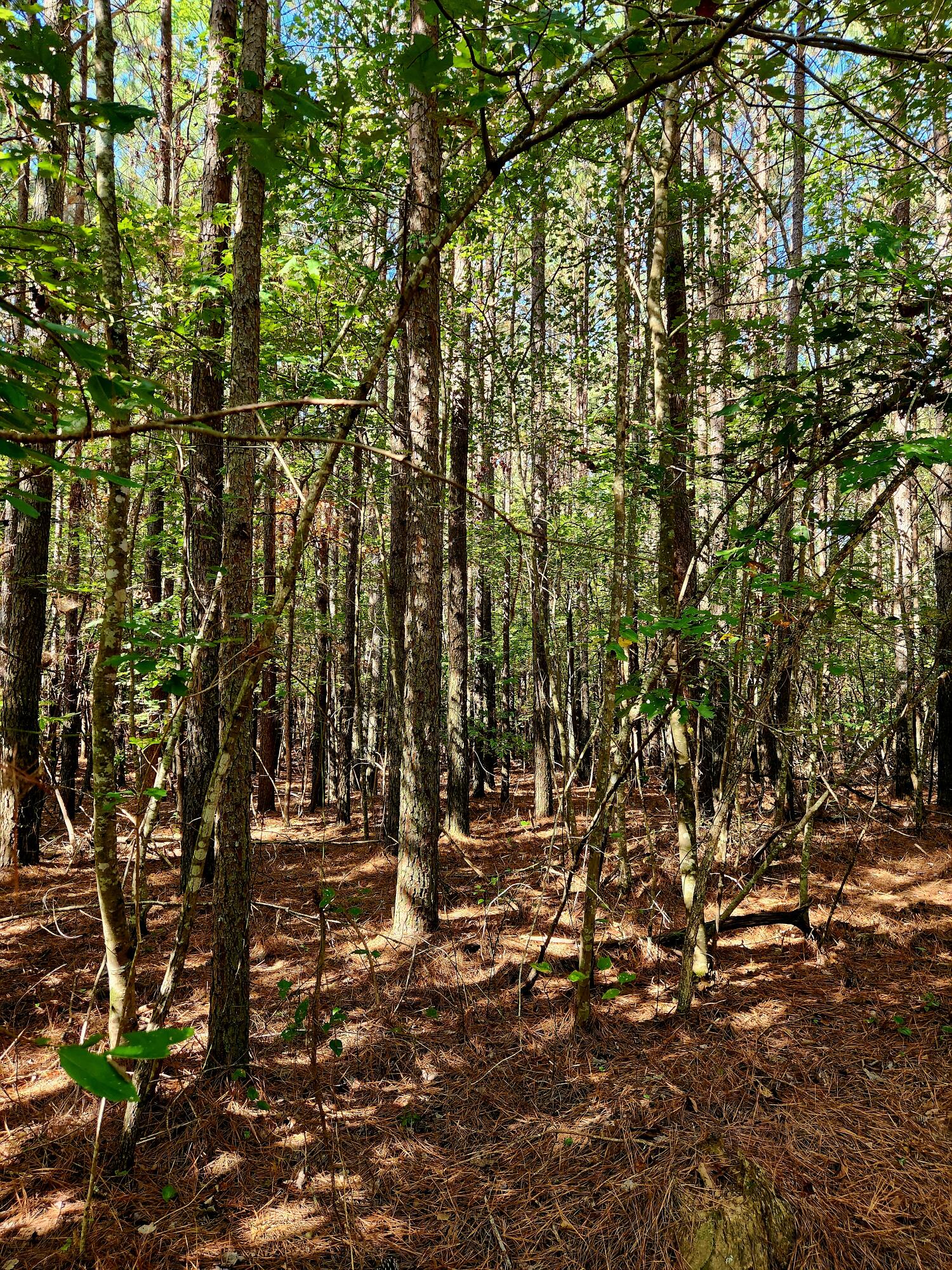 0 Ridge Wood Lane, 392