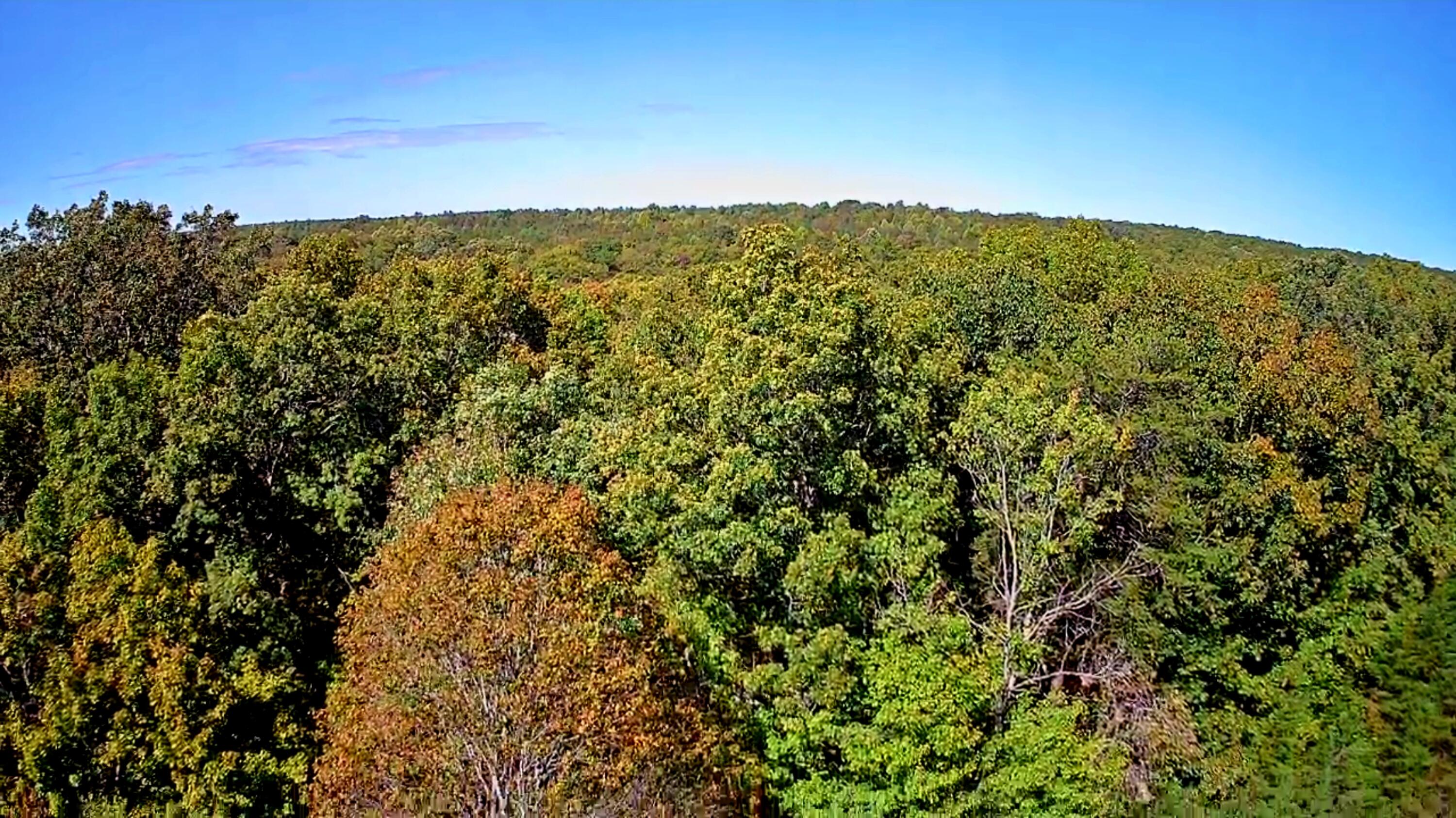 0 Ridge Wood Lane, 392