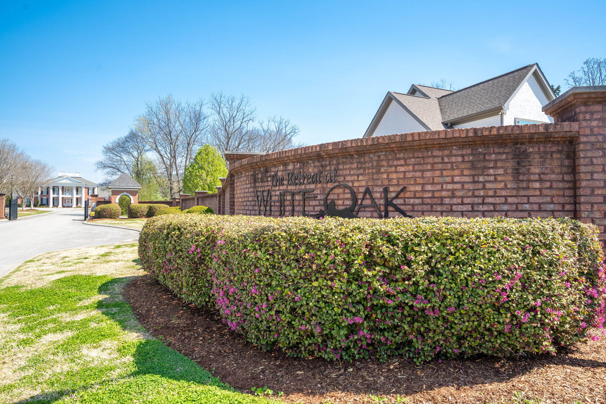 8975 Silver Maple Drive