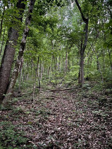 0 Cove, Lot 64 Trail