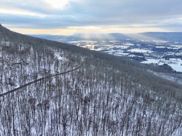 0 Cove, Lot 65 Trail