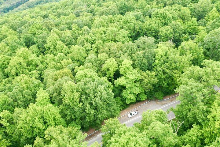 0 Cove, Lot 65 Trail