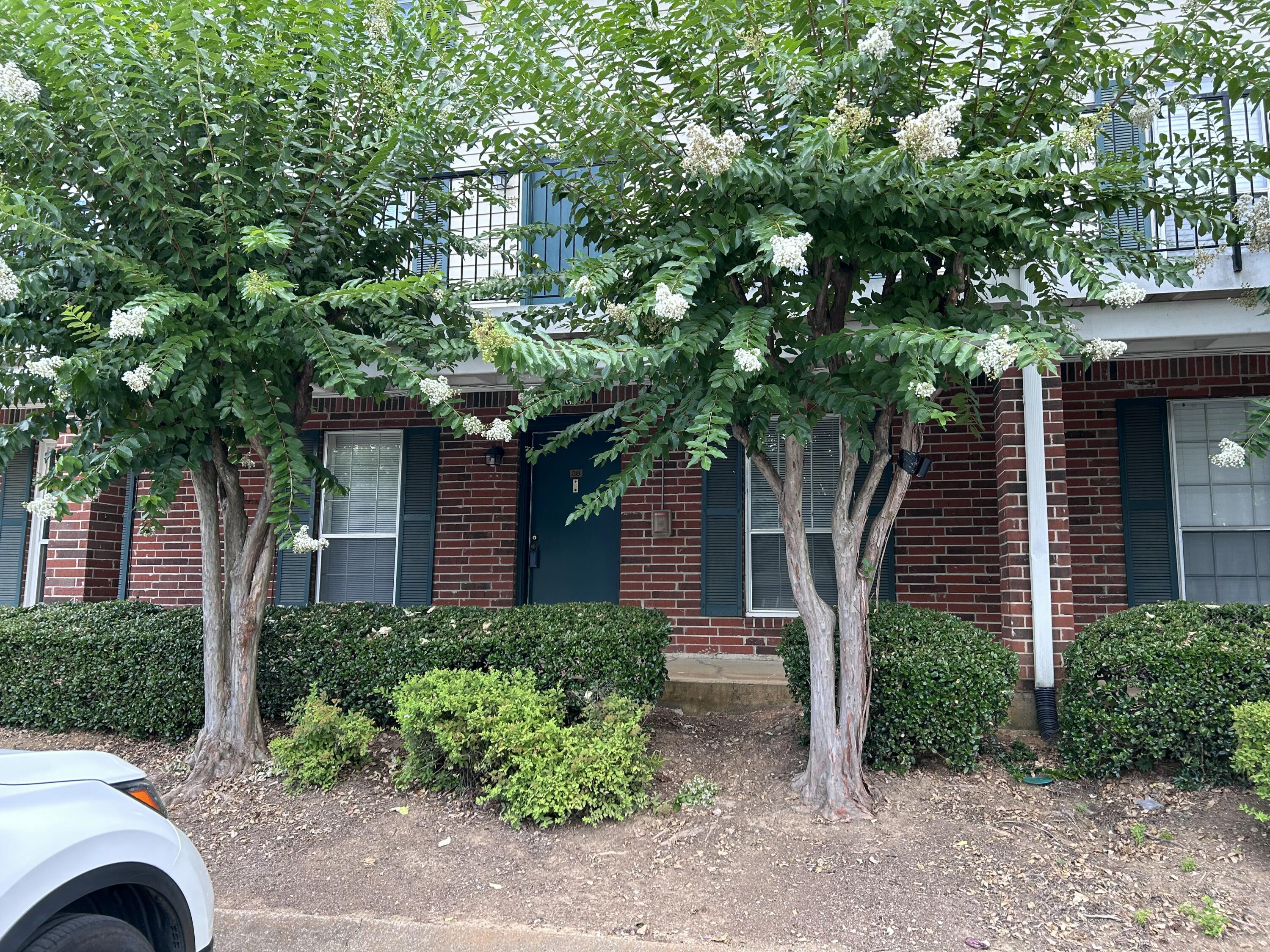 900 Mountain Creek Road, D59