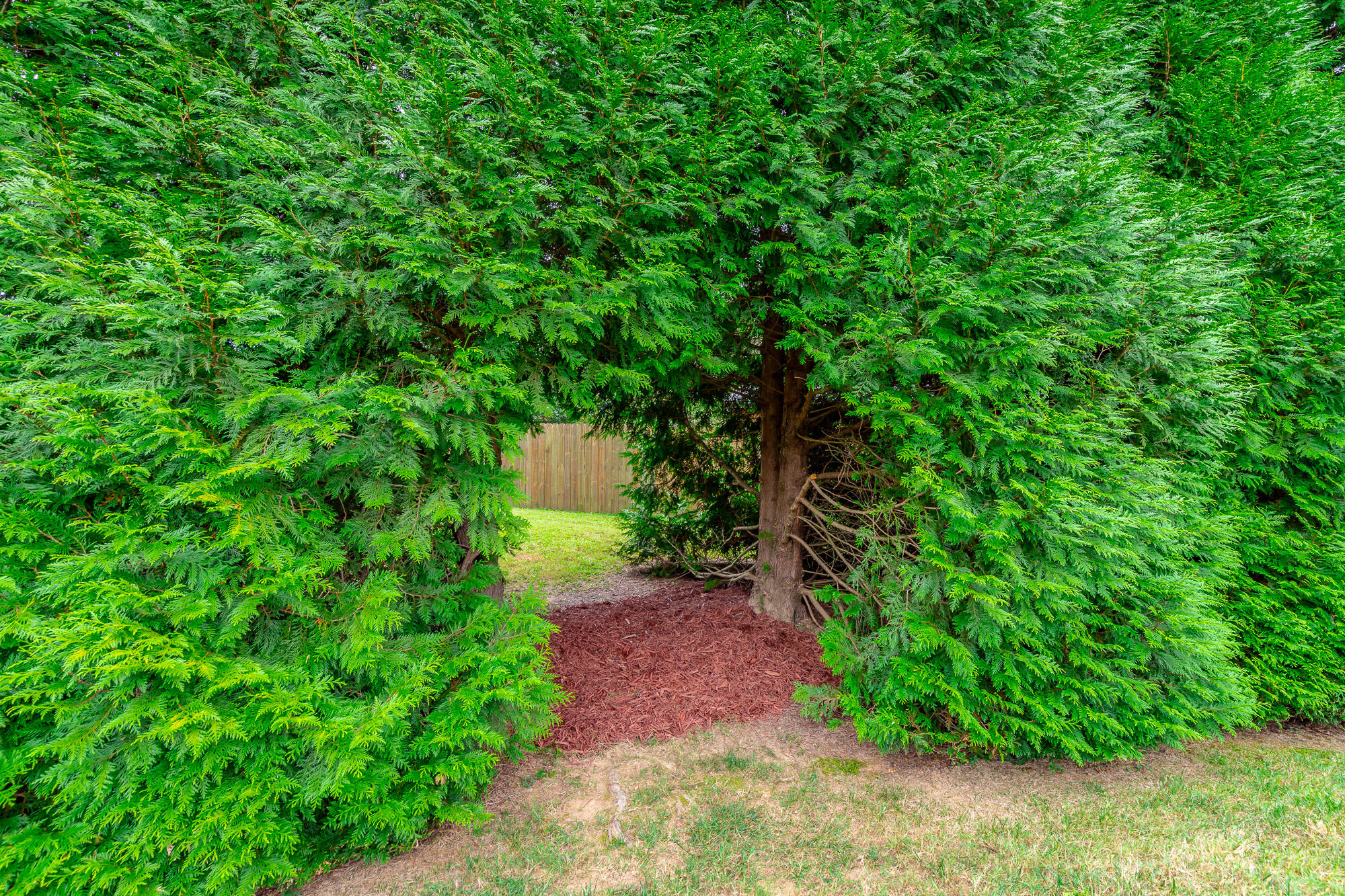 7763 Lenox Trace Drive