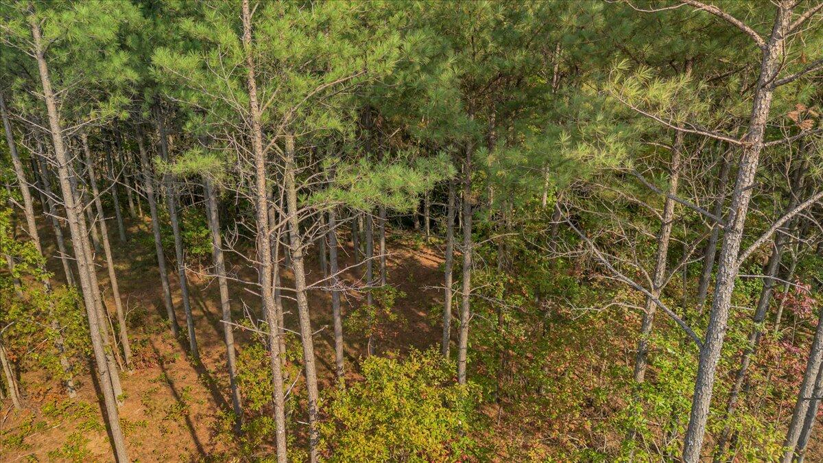 Lot # 1335 Whispering Way